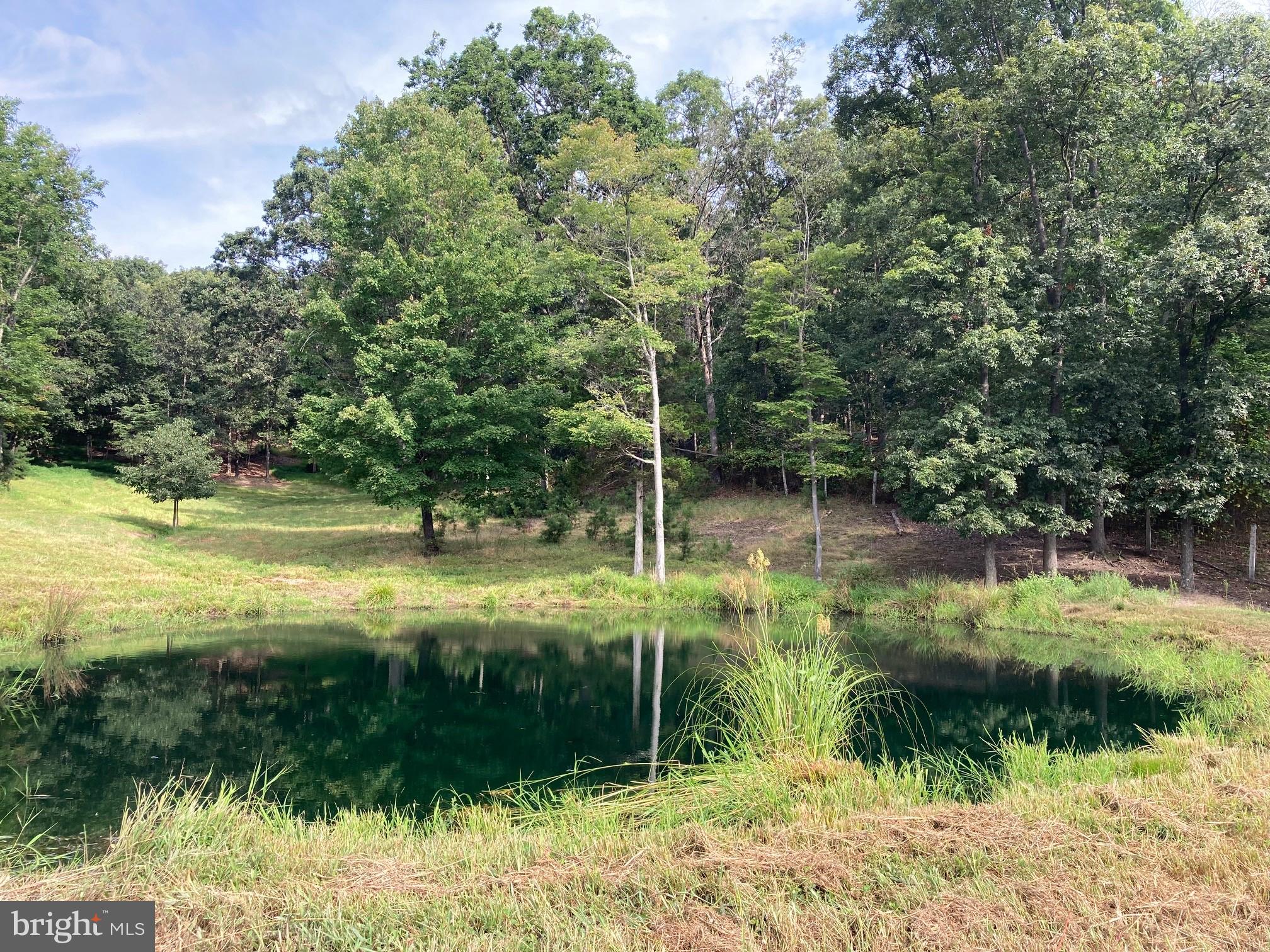 0 Light Road Winchester, VA 22603 - Photo 1 of 47