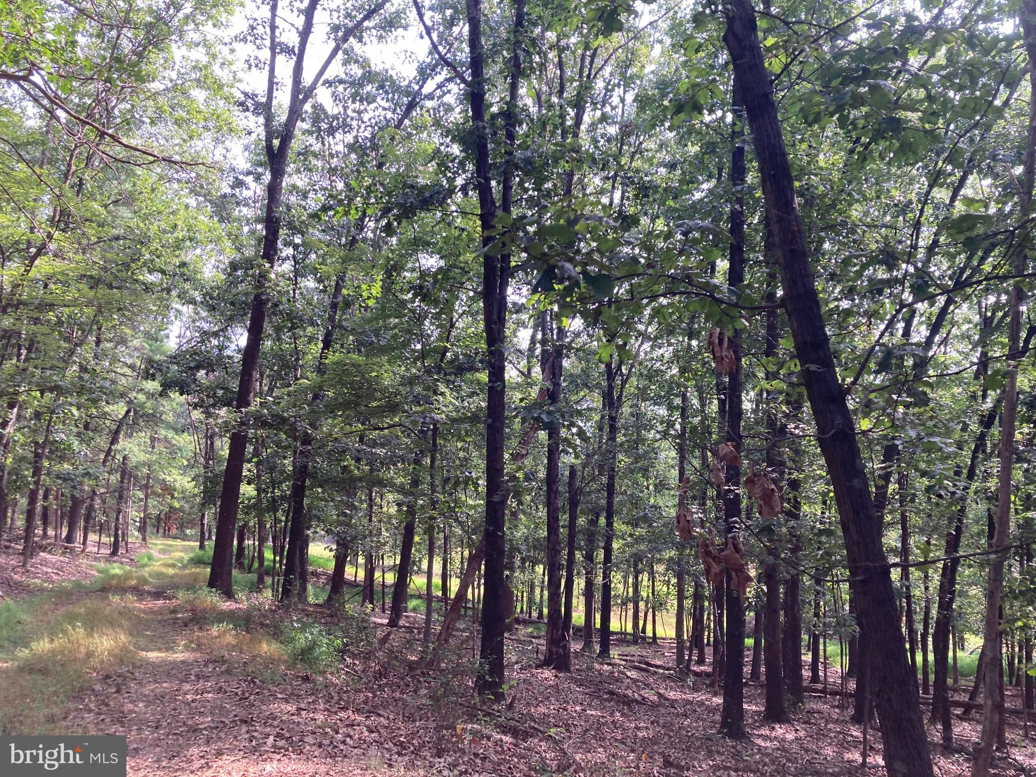 0 Light Road Winchester, VA 22603 - Photo 11 of 47