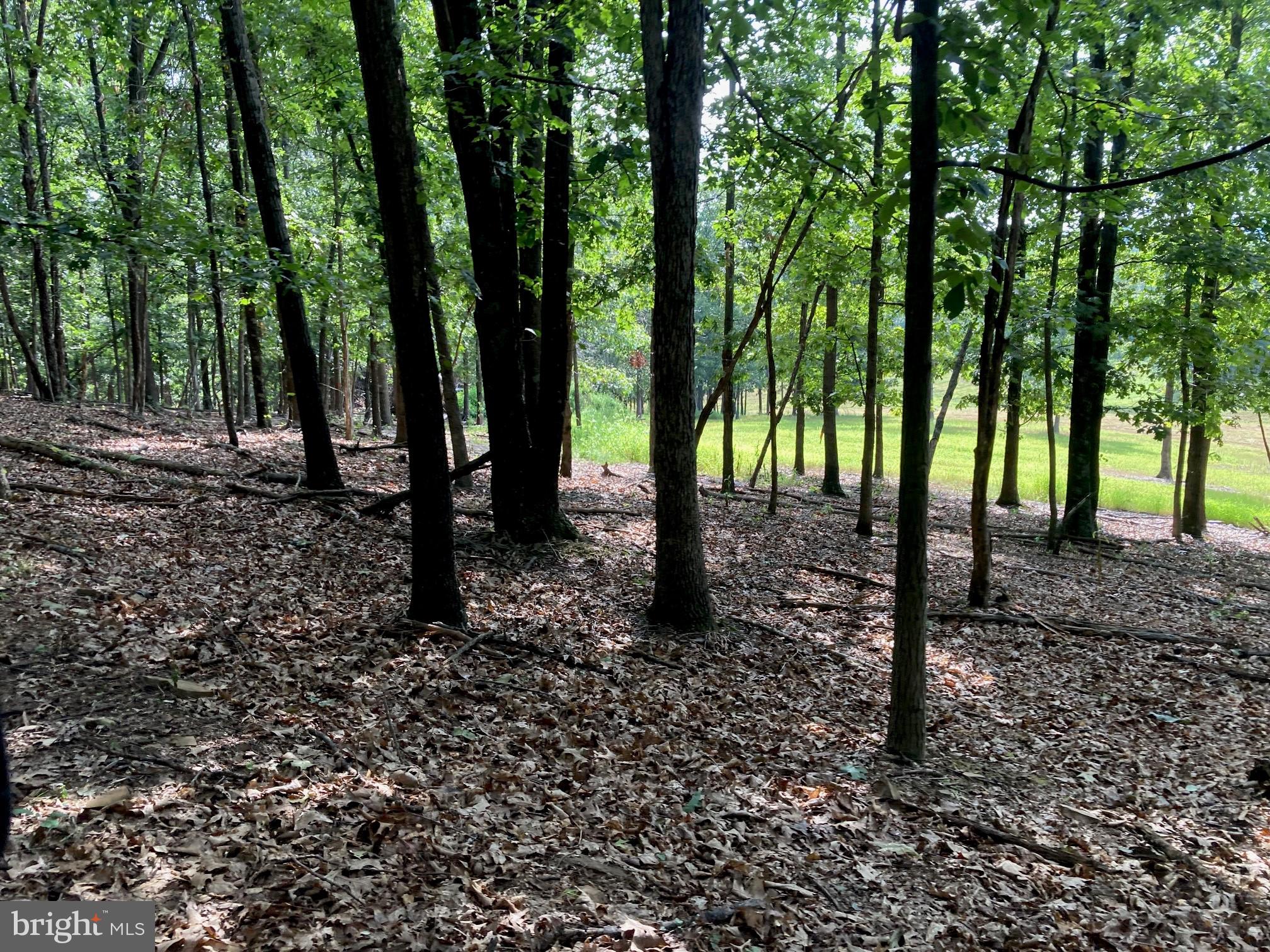 0 Light Road Winchester, VA 22603 - Photo 12 of 47