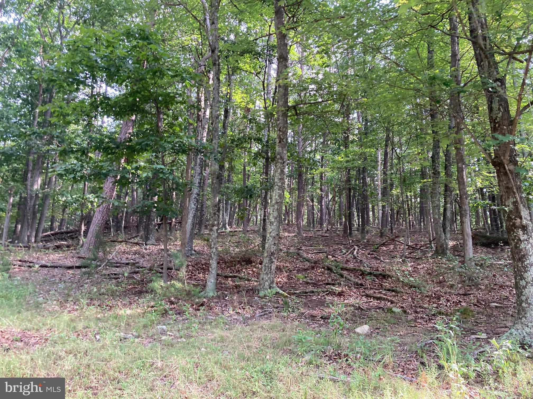 0 Light Road Winchester, VA 22603 - Photo 14 of 47