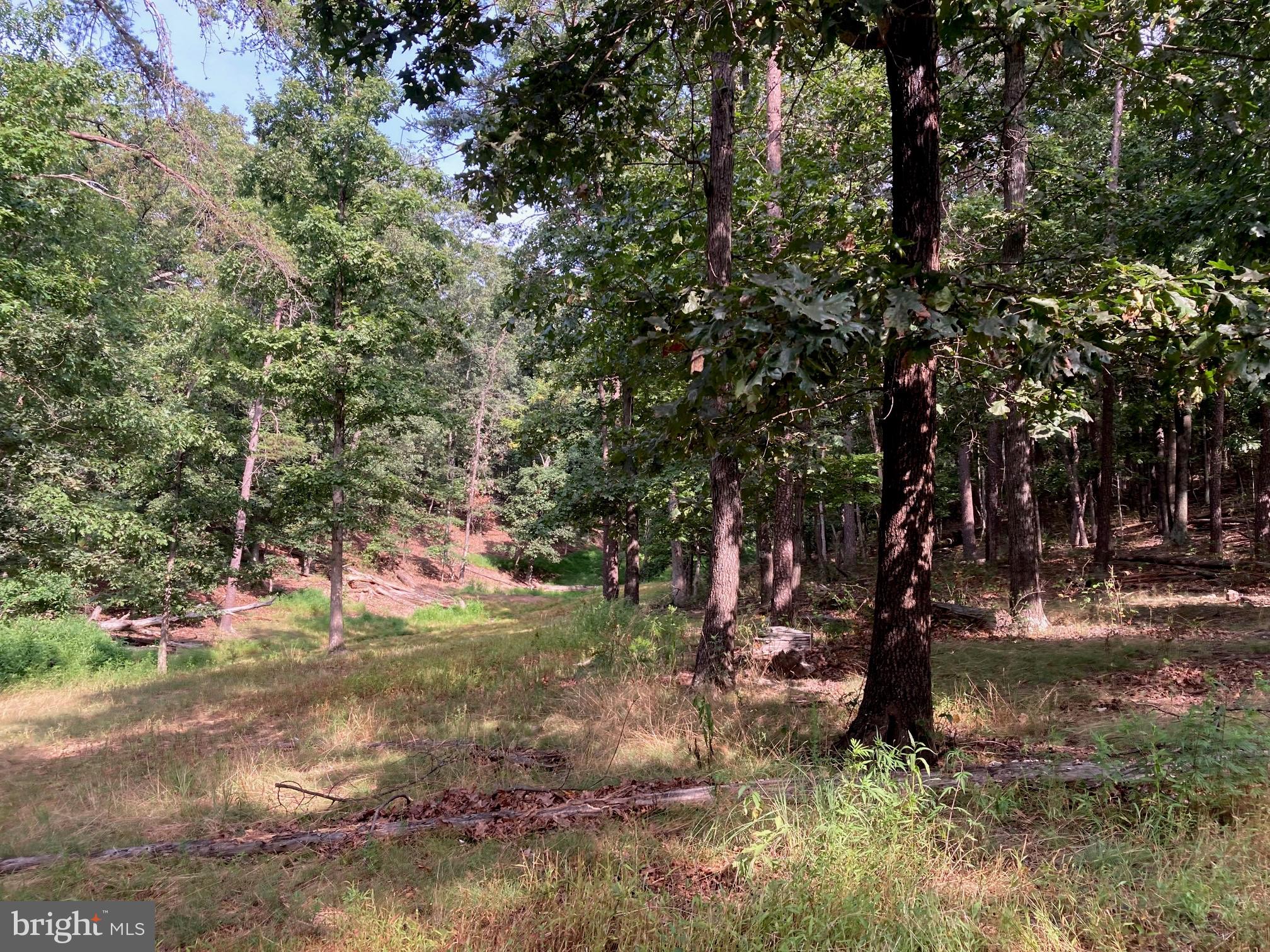 0 Light Road Winchester, VA 22603 - Photo 15 of 47