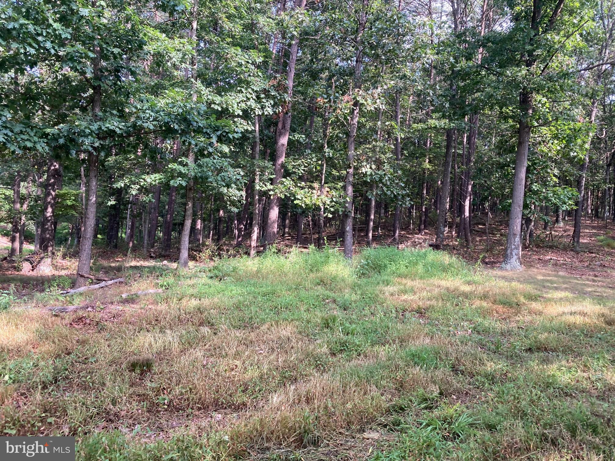 0 Light Road Winchester, VA 22603 - Photo 16 of 47