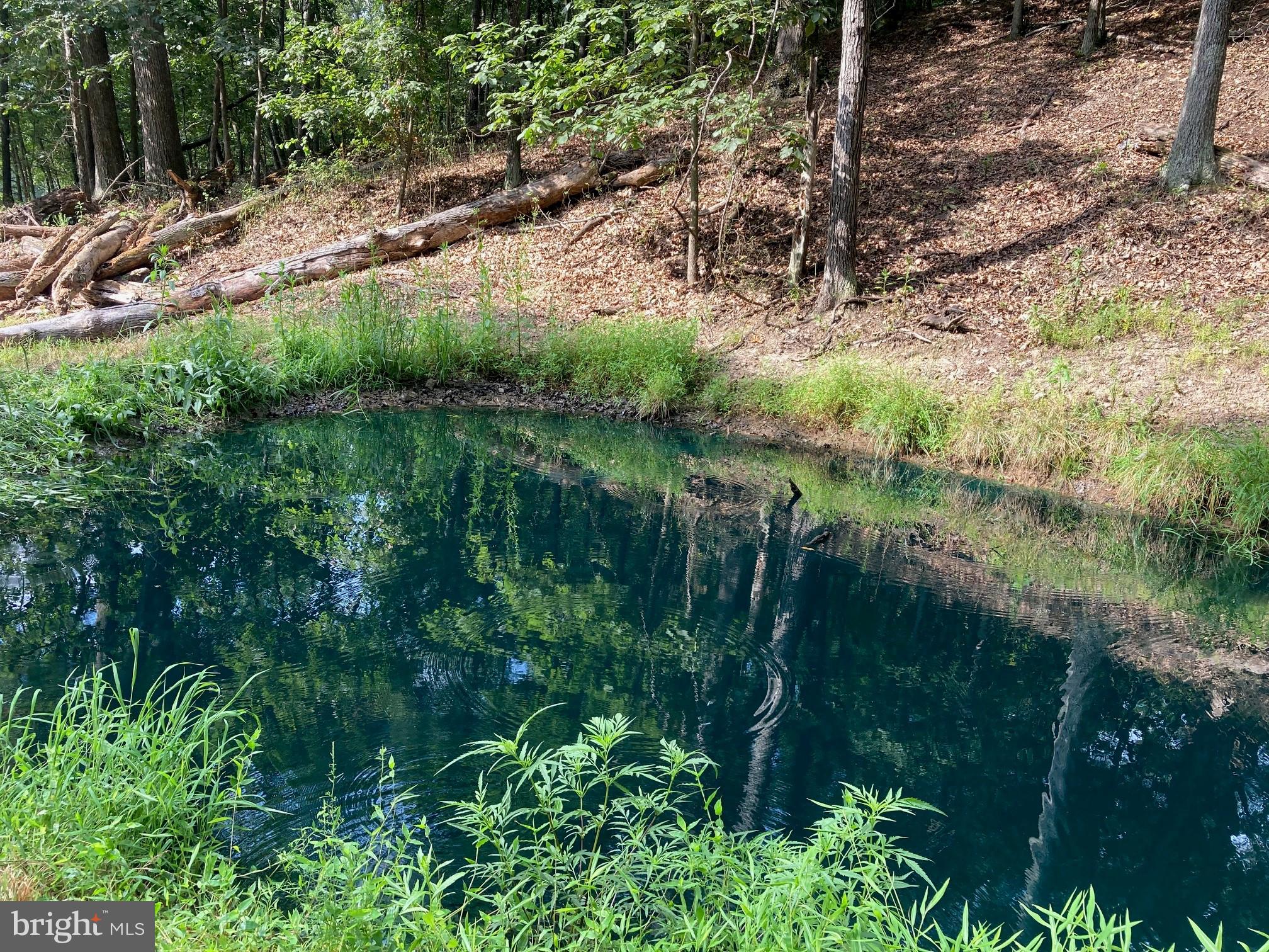 0 Light Road Winchester, VA 22603 - Photo 17 of 47