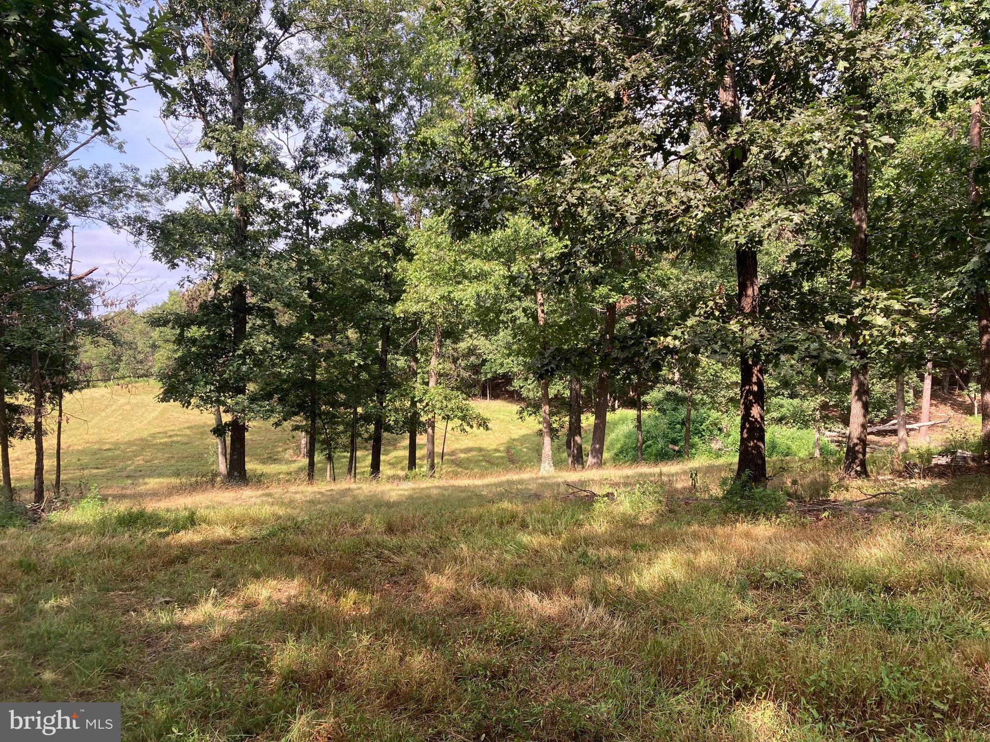 0 Light Road Winchester, VA 22603 - Photo 18 of 47