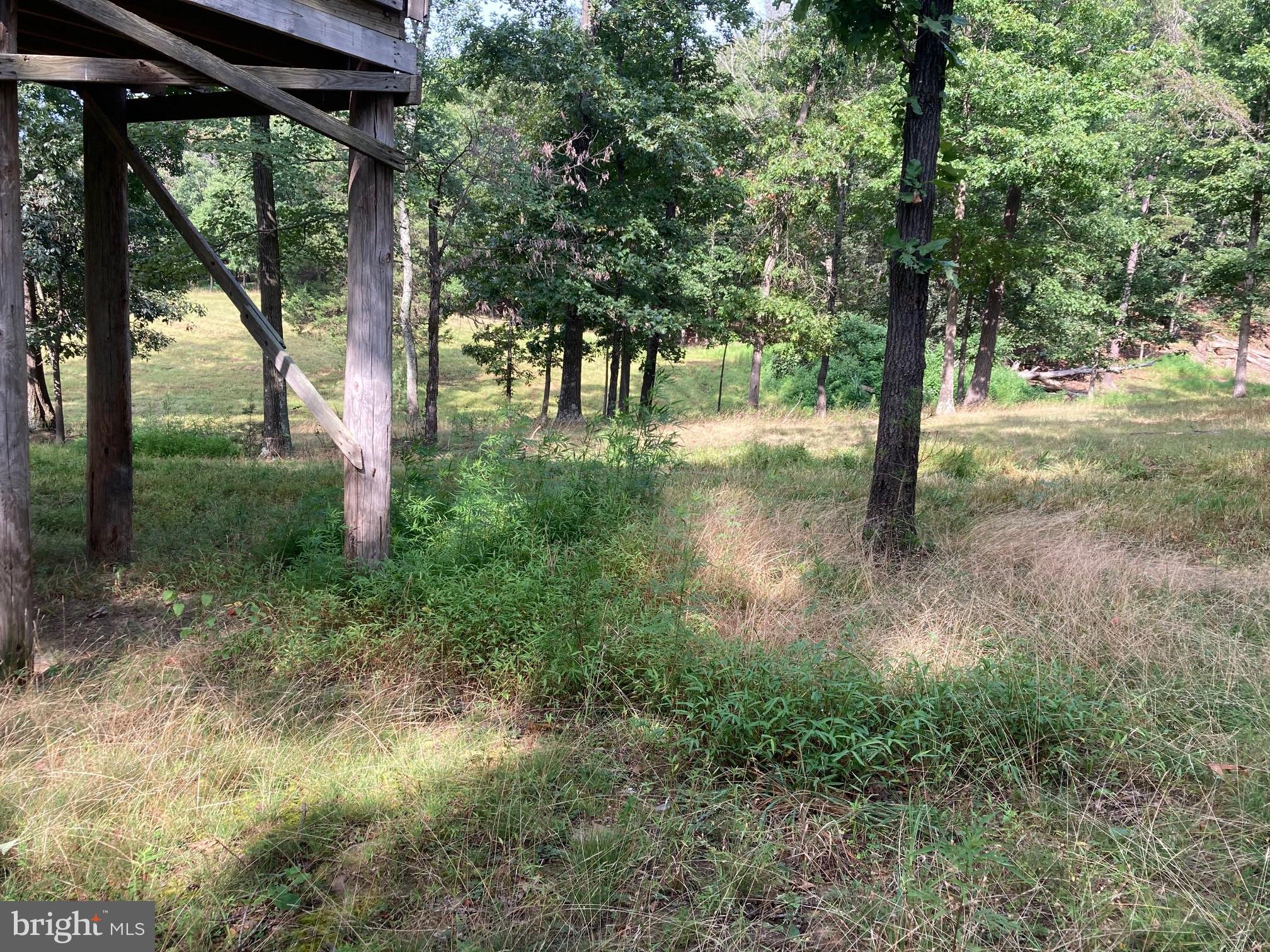 0 Light Road Winchester, VA 22603 - Photo 19 of 47