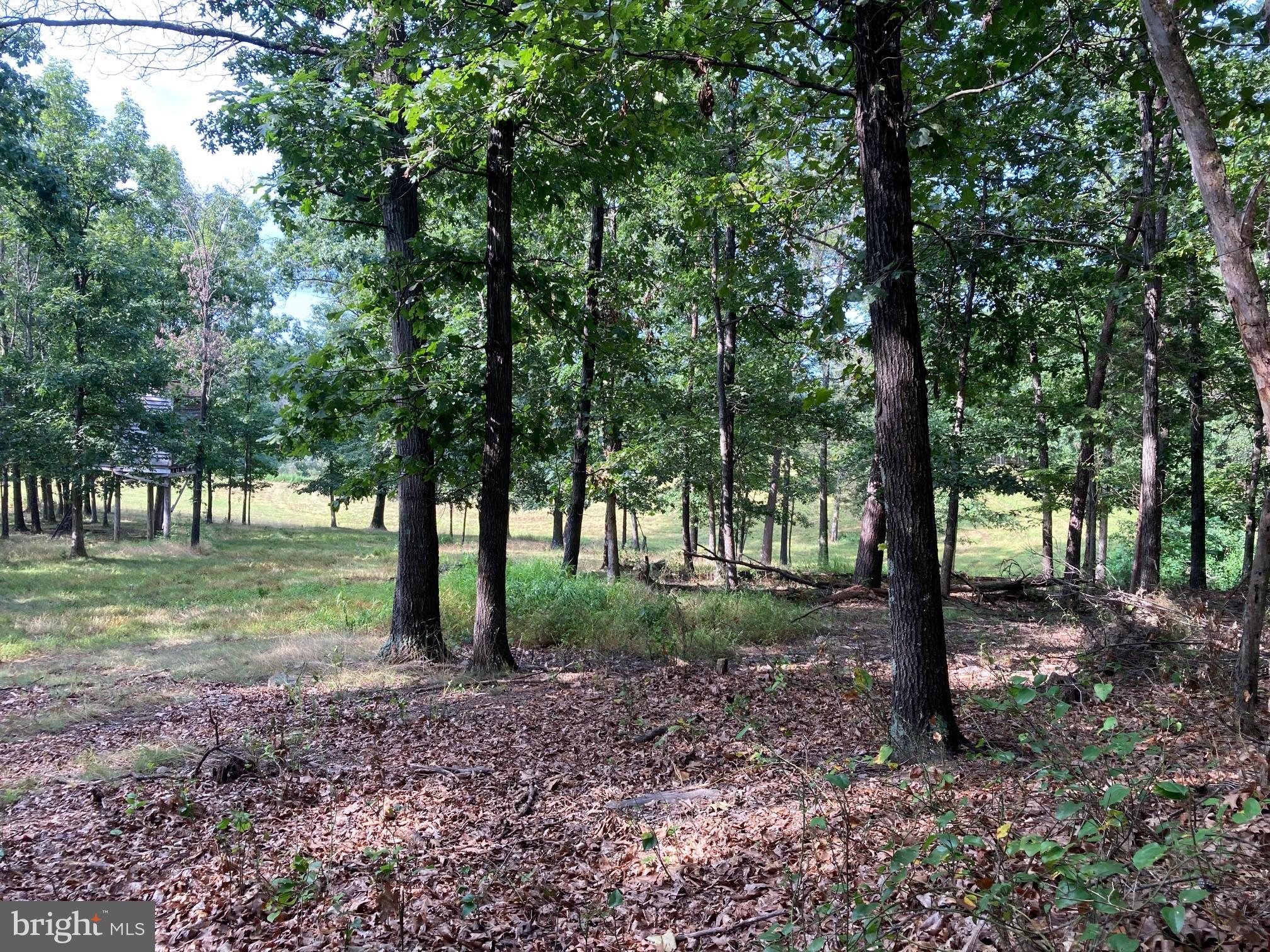 0 Light Road Winchester, VA 22603 - Photo 20 of 47