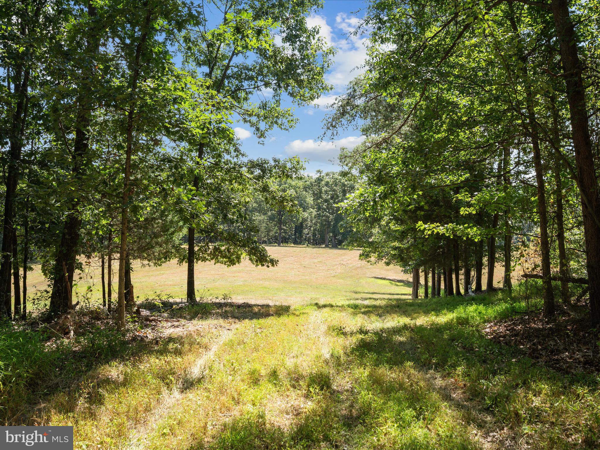 0 Light Road Winchester, VA 22603 - Photo 2 of 47 Lot Landscape