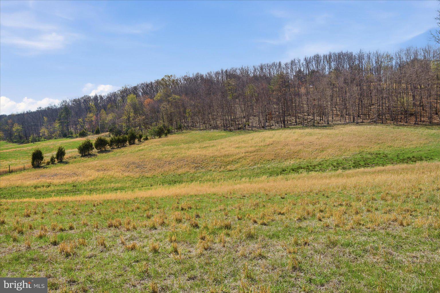 0 Light Road Winchester, VA 22603 - Photo 2 of 78