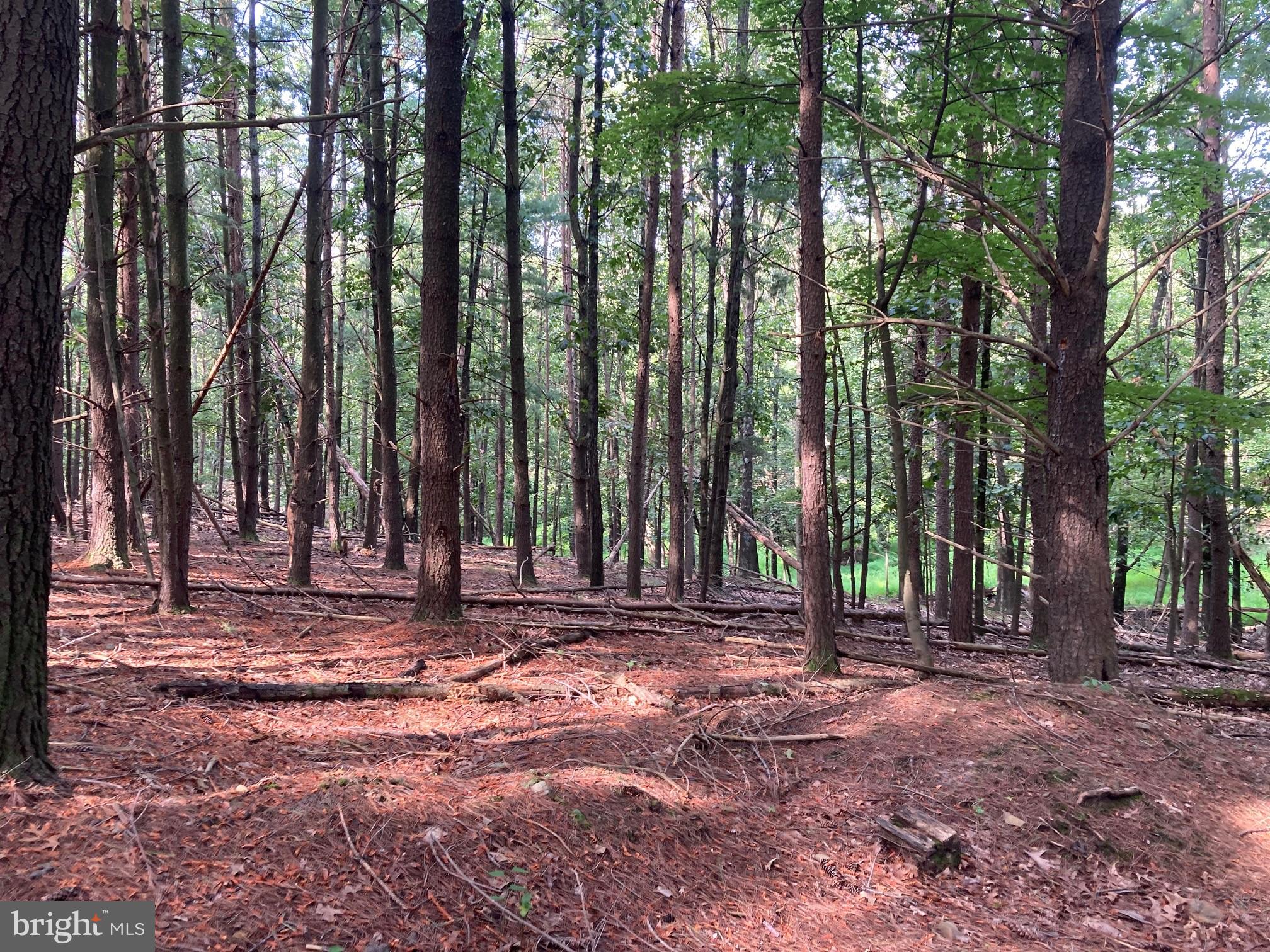 0 Light Road Winchester, VA 22603 - Photo 21 of 47