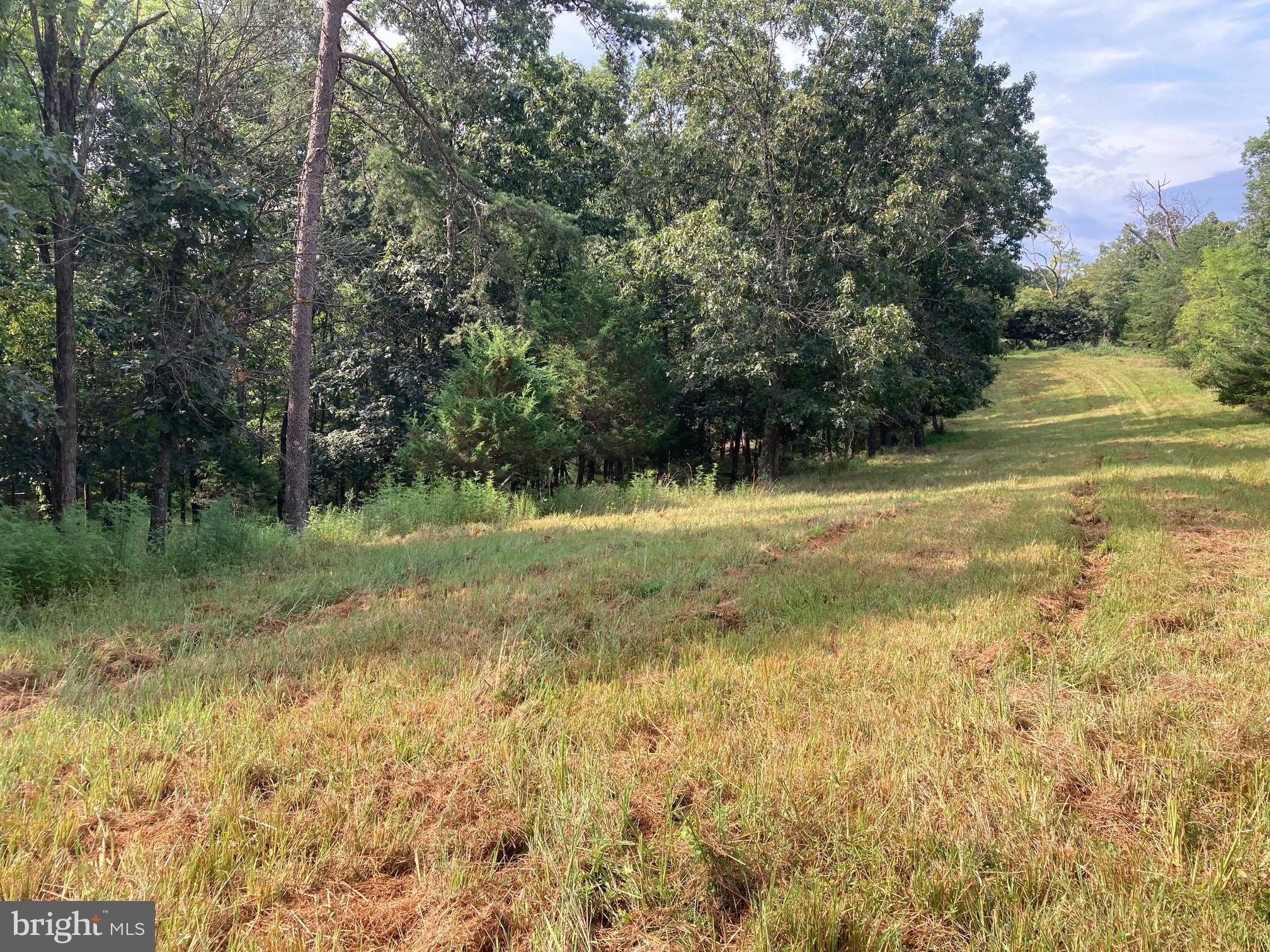 0 Light Road Winchester, VA 22603 - Photo 22 of 47