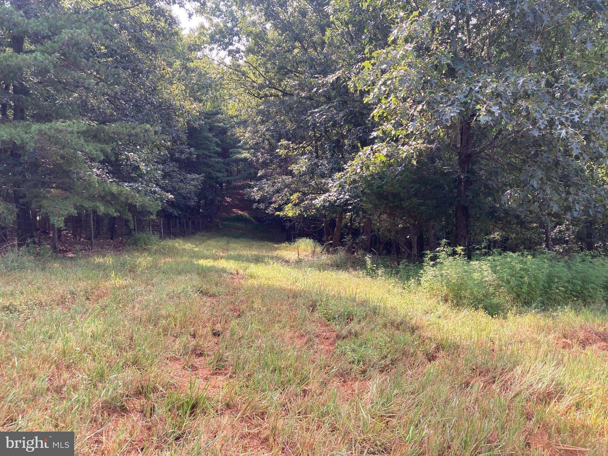 0 Light Road Winchester, VA 22603 - Photo 23 of 47