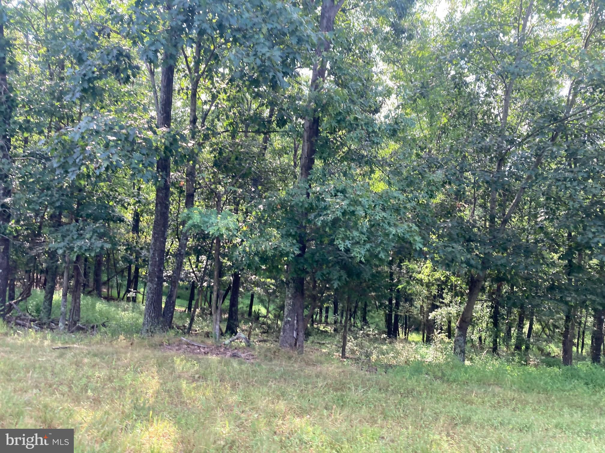 0 Light Road Winchester, VA 22603 - Photo 24 of 47