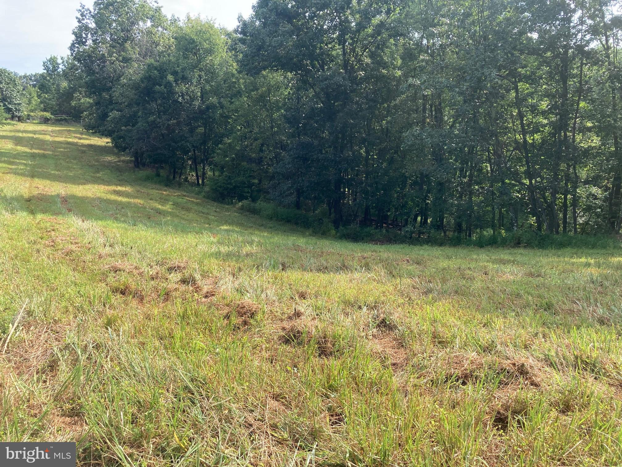 0 Light Road Winchester, VA 22603 - Photo 25 of 47