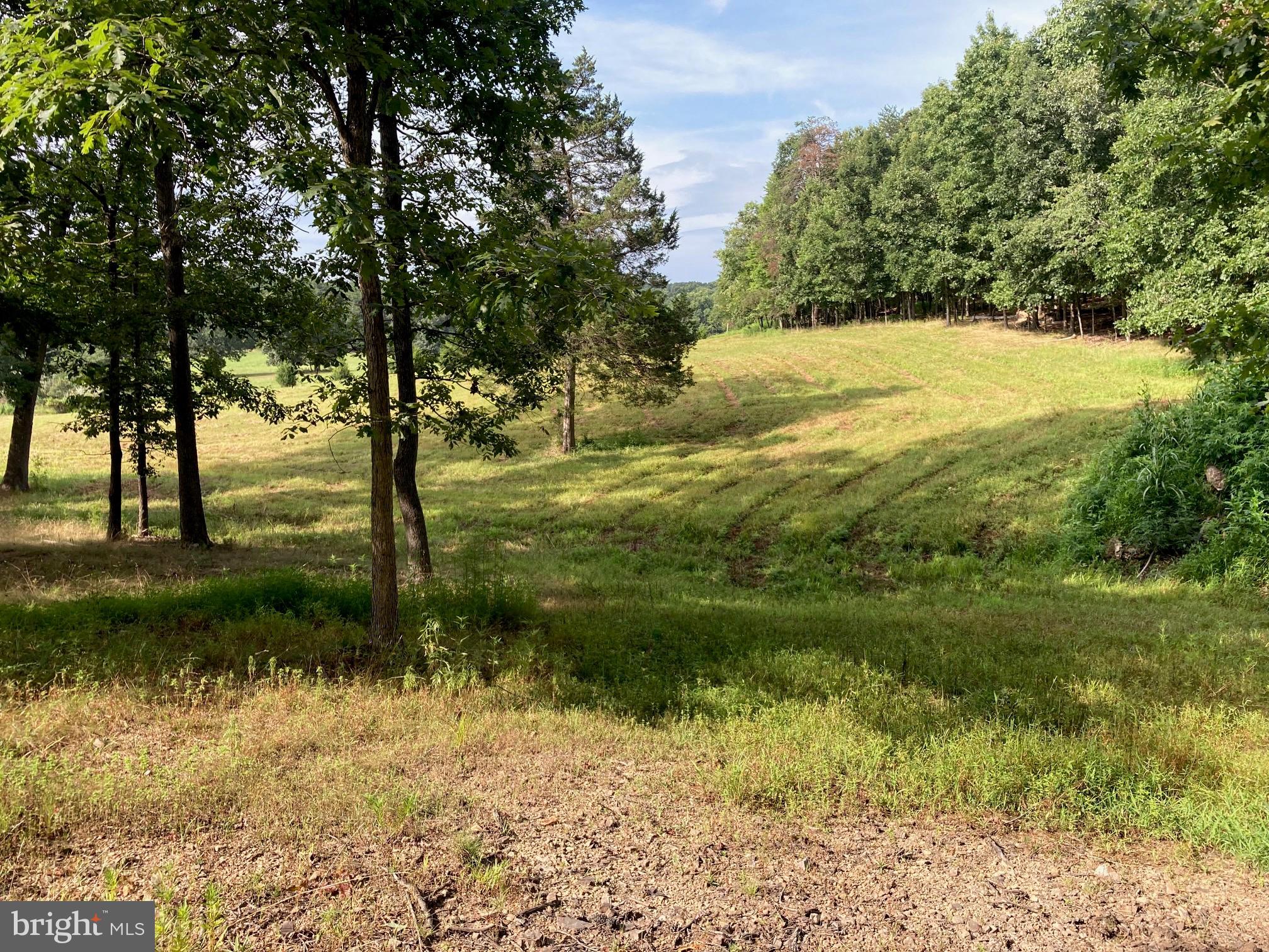 0 Light Road Winchester, VA 22603 - Photo 25 of 78