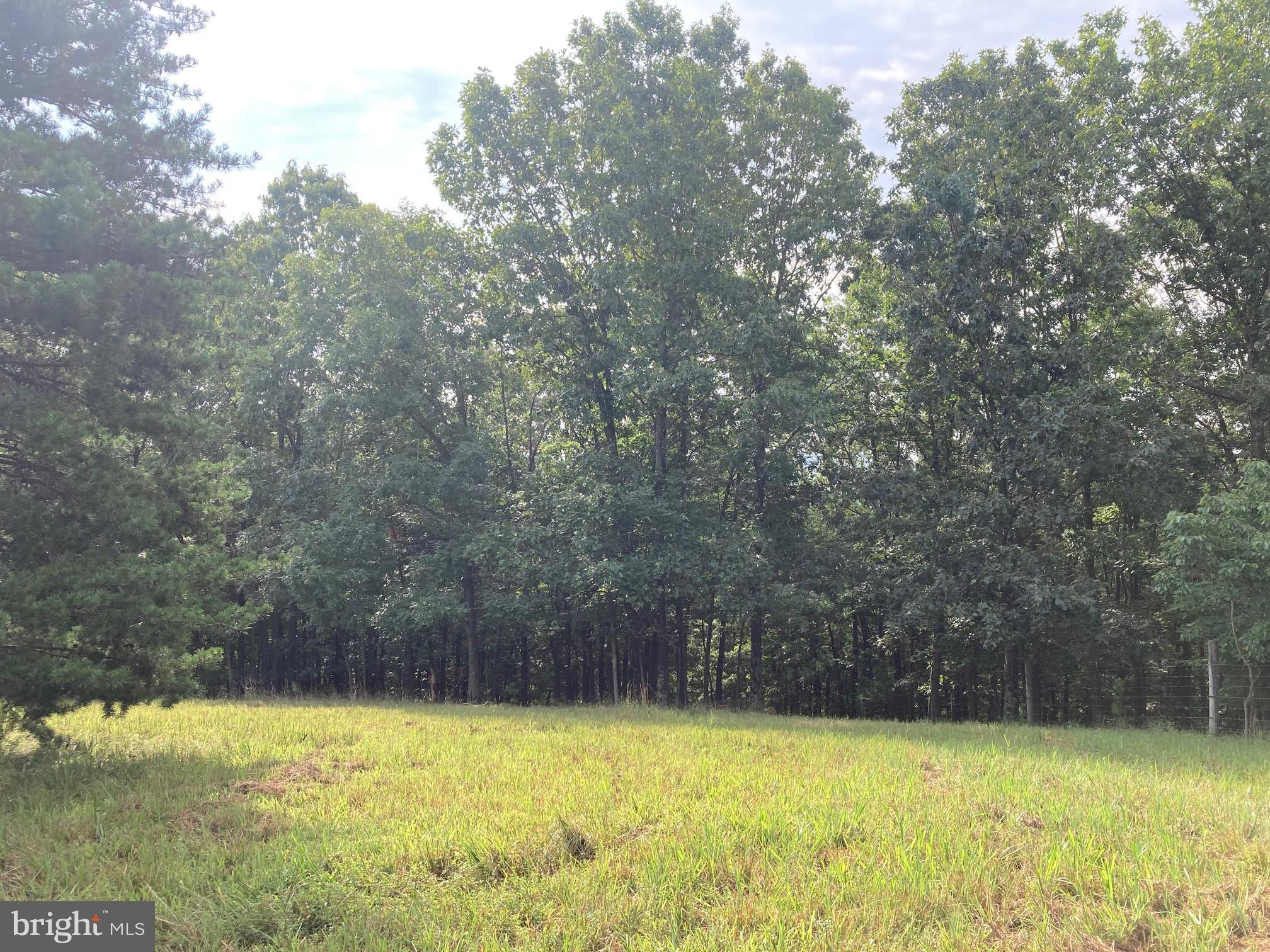 0 Light Road Winchester, VA 22603 - Photo 26 of 47