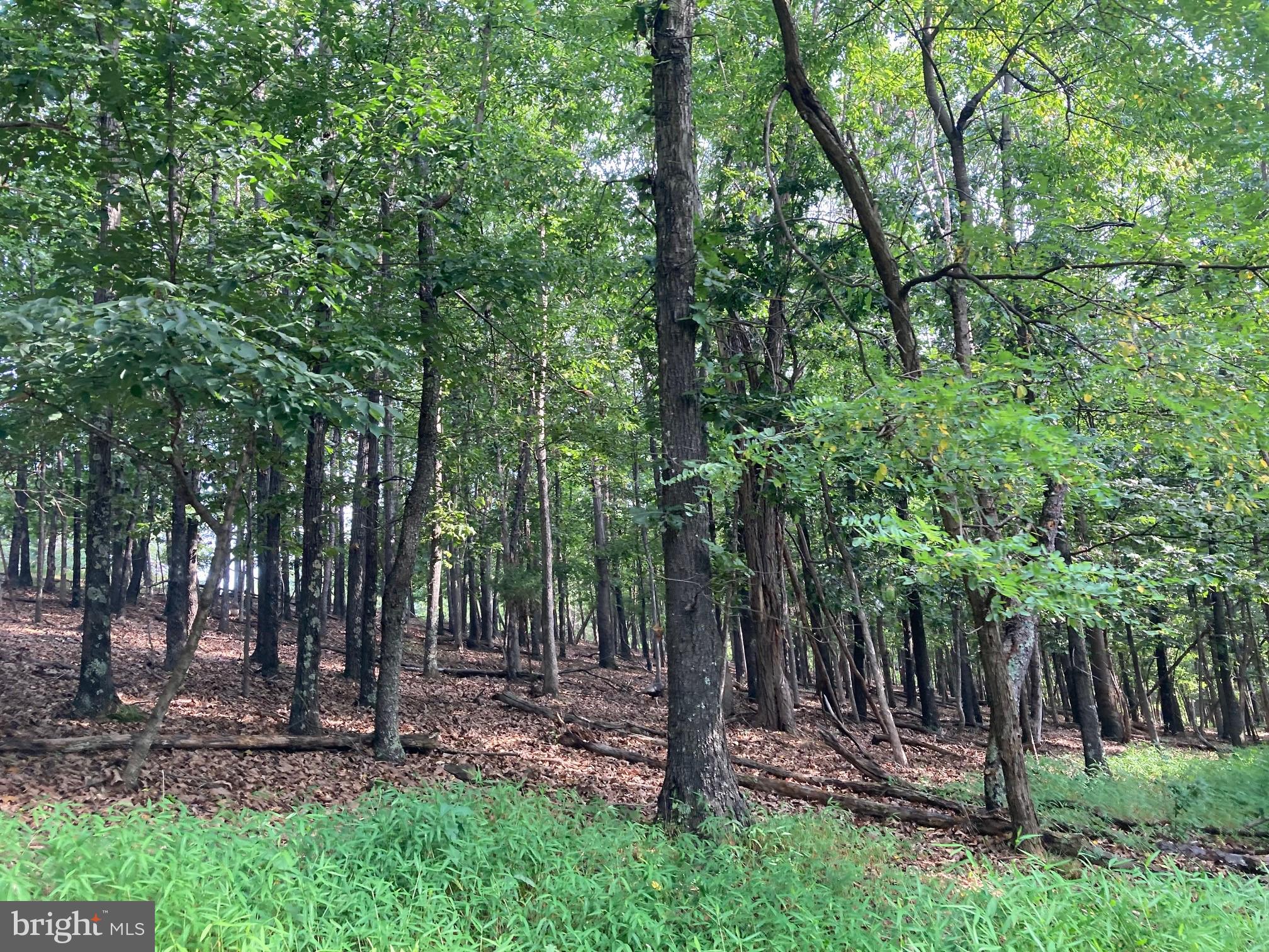 0 Light Road Winchester, VA 22603 - Photo 27 of 47