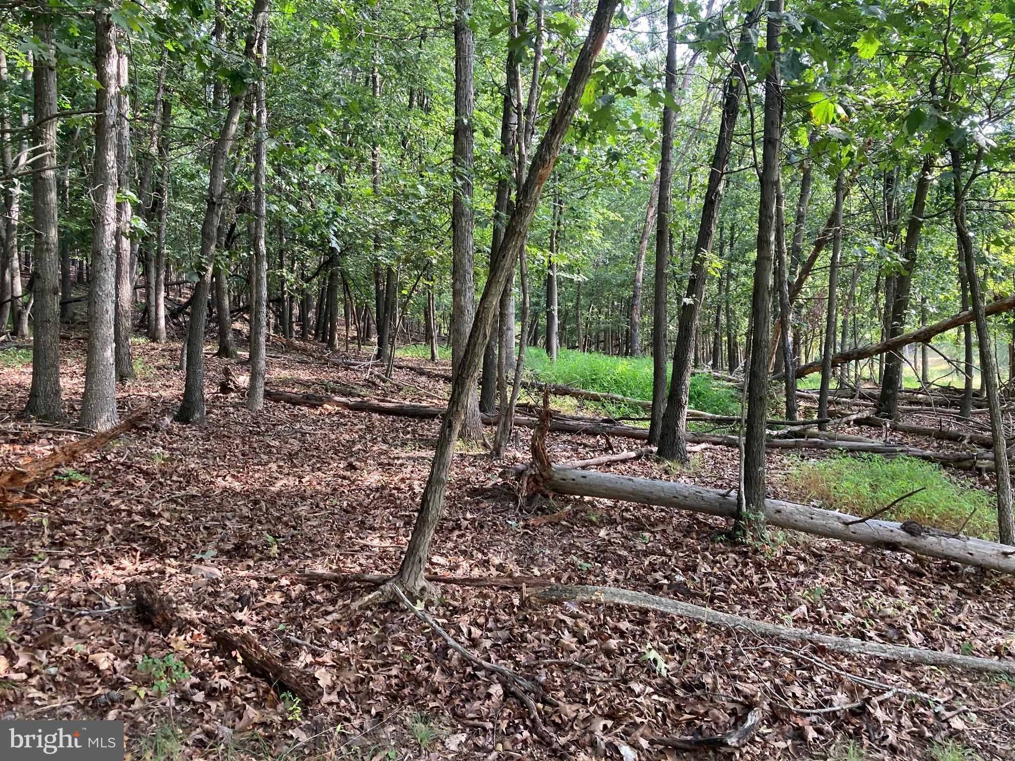 0 Light Road Winchester, VA 22603 - Photo 28 of 47