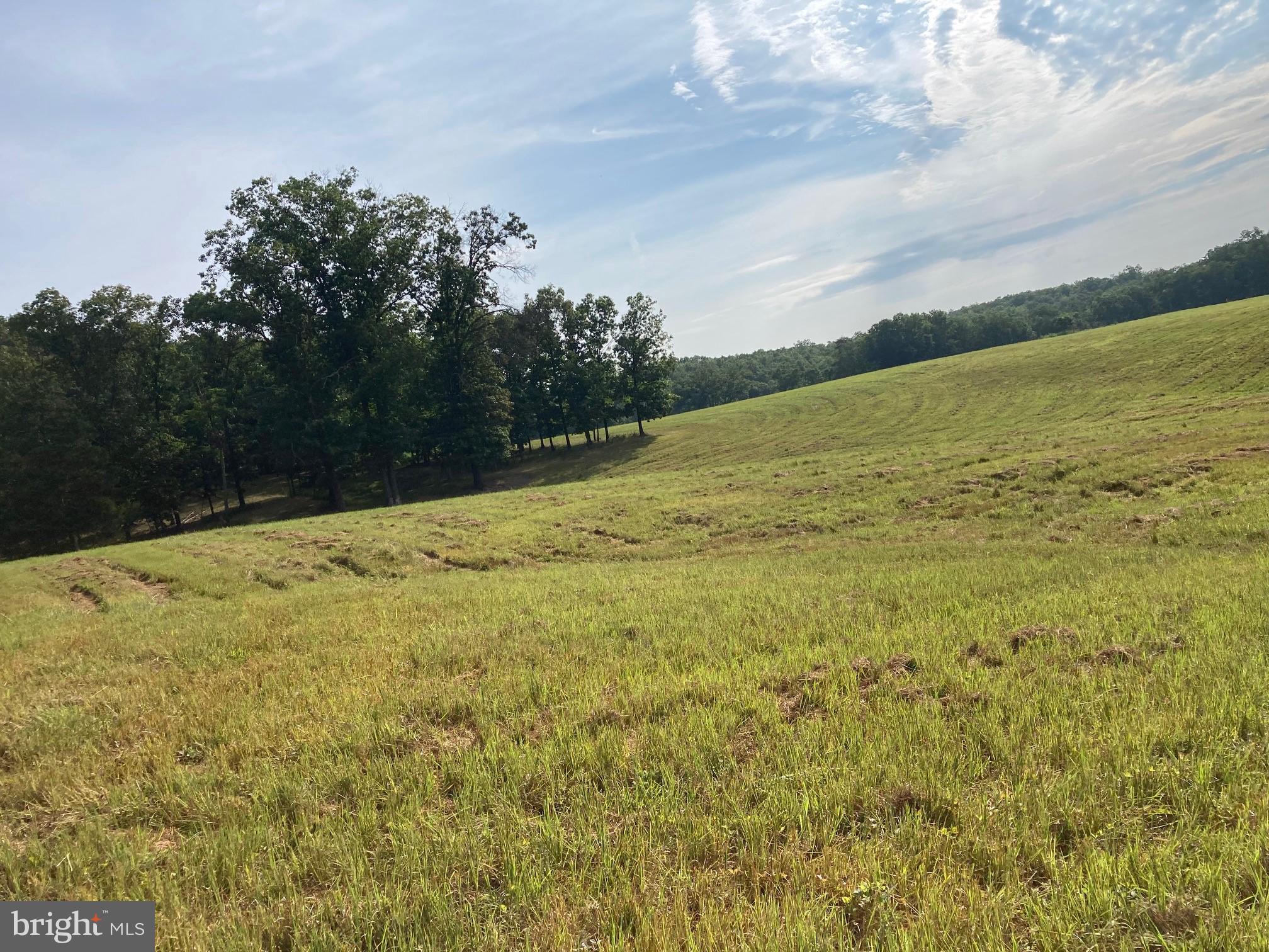 0 Light Road Winchester, VA 22603 - Photo 29 of 47