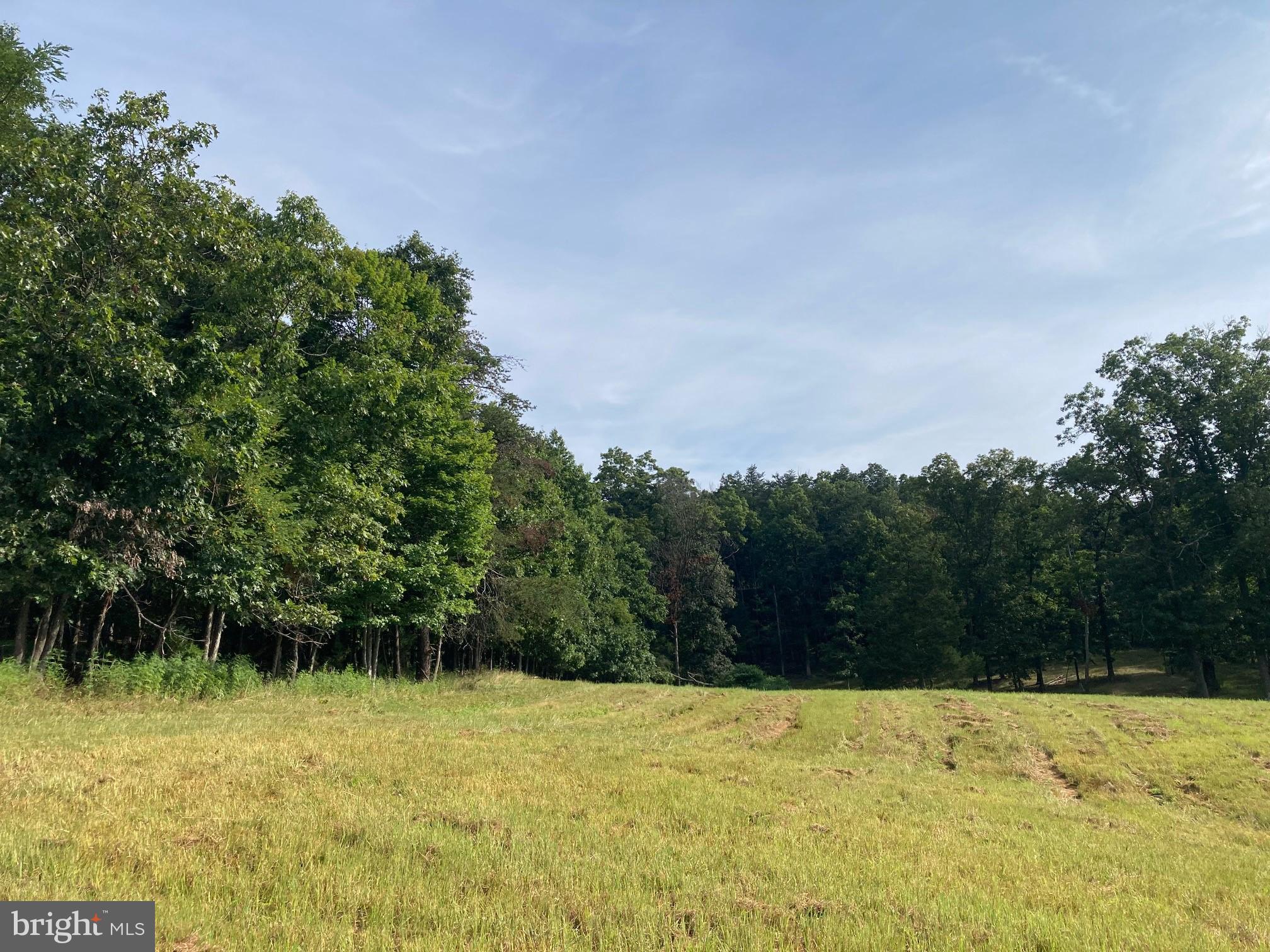 0 Light Road Winchester, VA 22603 - Photo 30 of 47