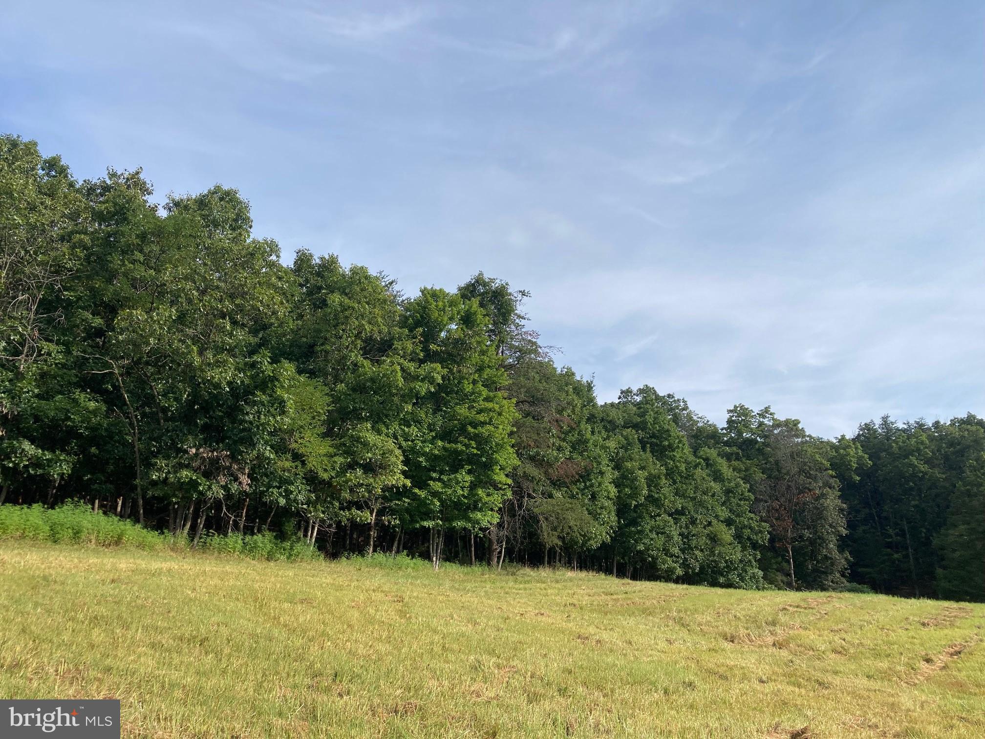 0 Light Road Winchester, VA 22603 - Photo 31 of 47