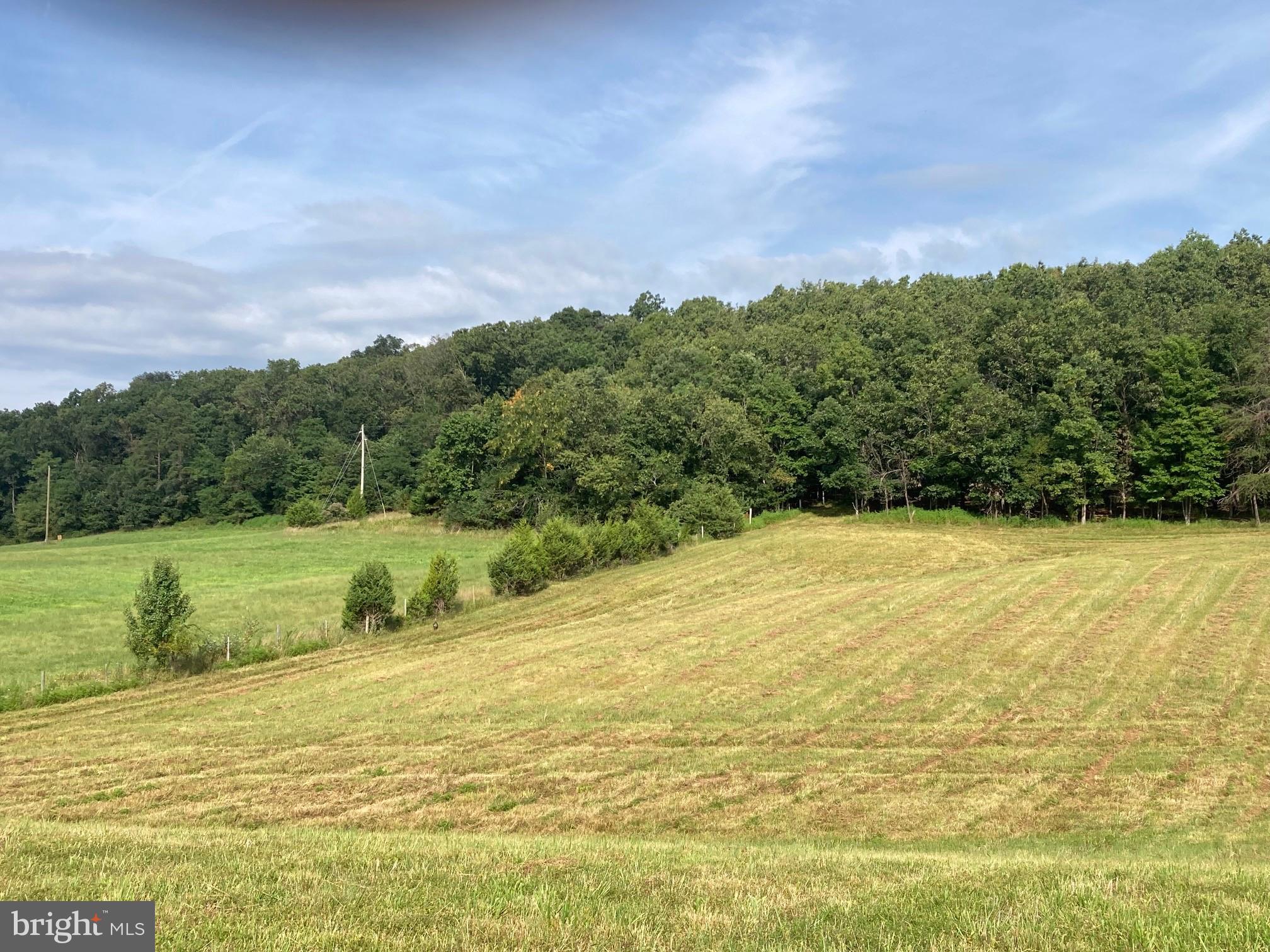 0 Light Road Winchester, VA 22603 - Photo 33 of 47