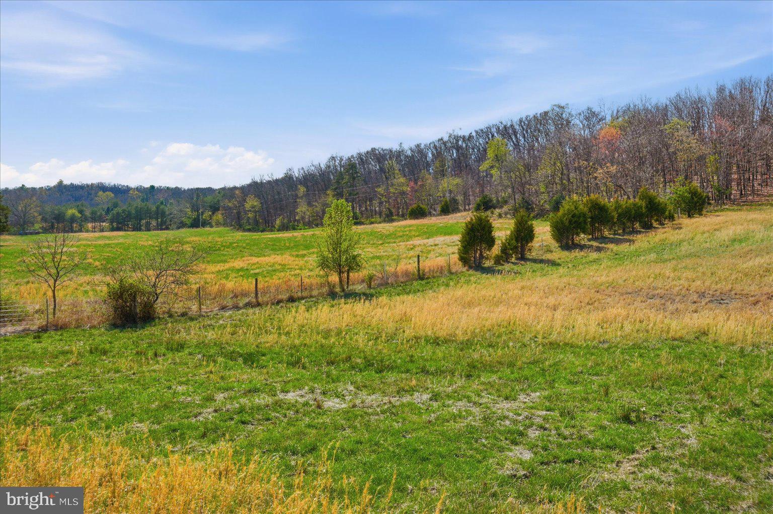 0 Light Road Winchester, VA 22603 - Photo 4 of 78