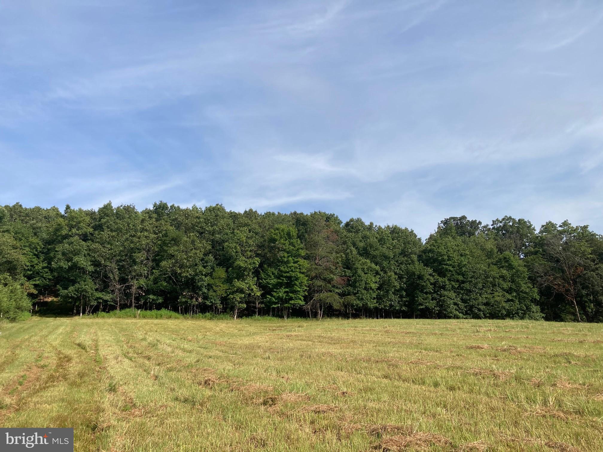 0 Light Road Winchester, VA 22603 - Photo 44 of 78