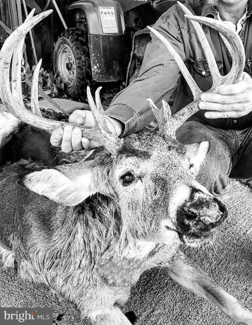 0 Light Road Winchester, VA 22603 - Photo 47 of 47 Great hunting