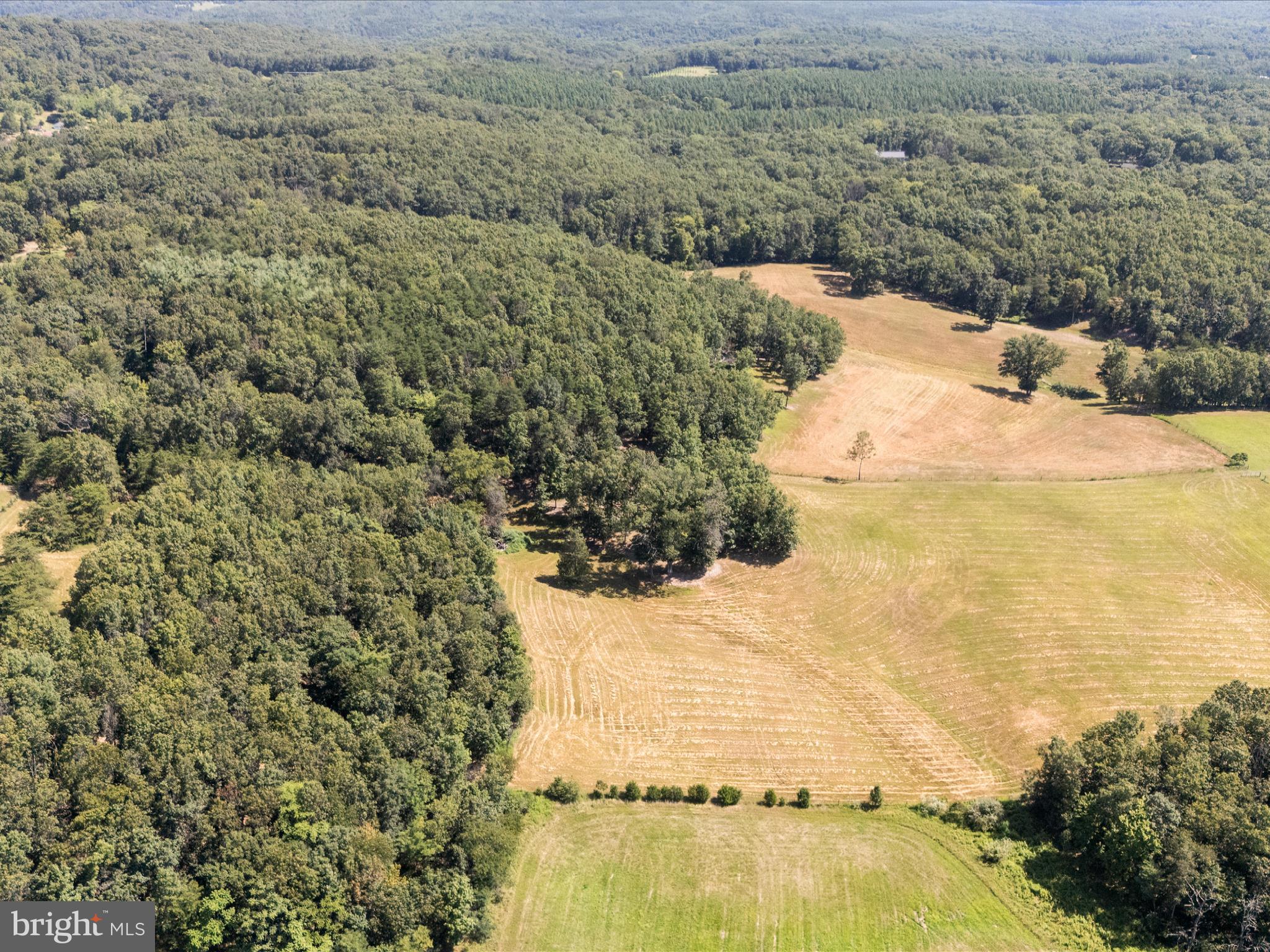 0 Light Road Winchester, VA 22603 - Photo 49 of 78 Aerial View