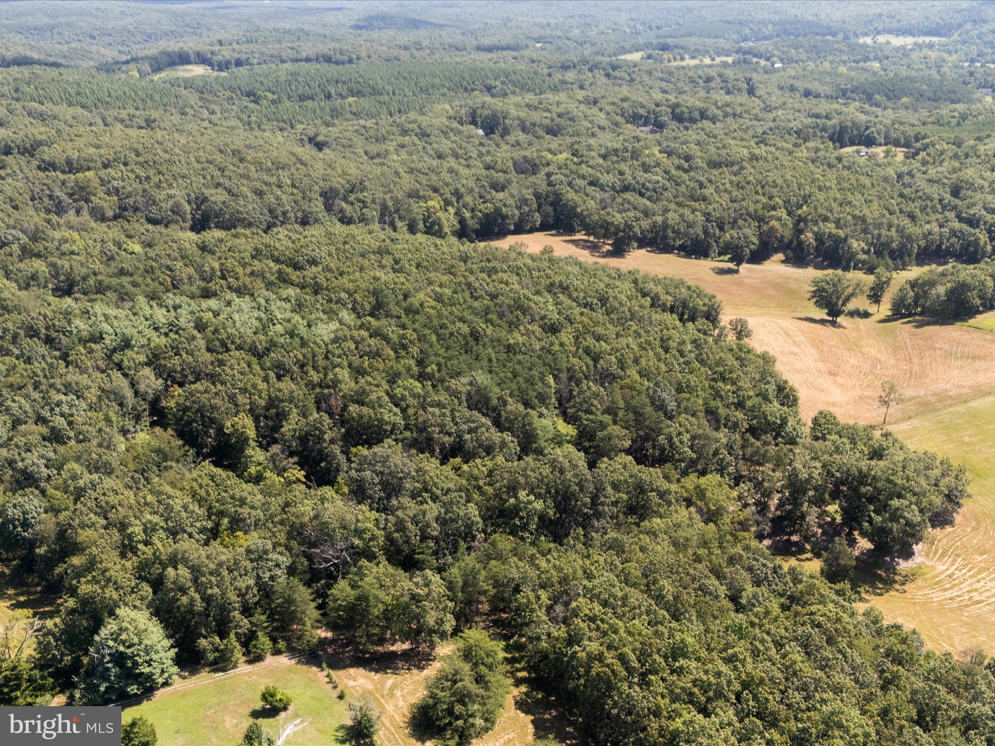 0 Light Road Winchester, VA 22603 - Photo 53 of 78 Aerial View