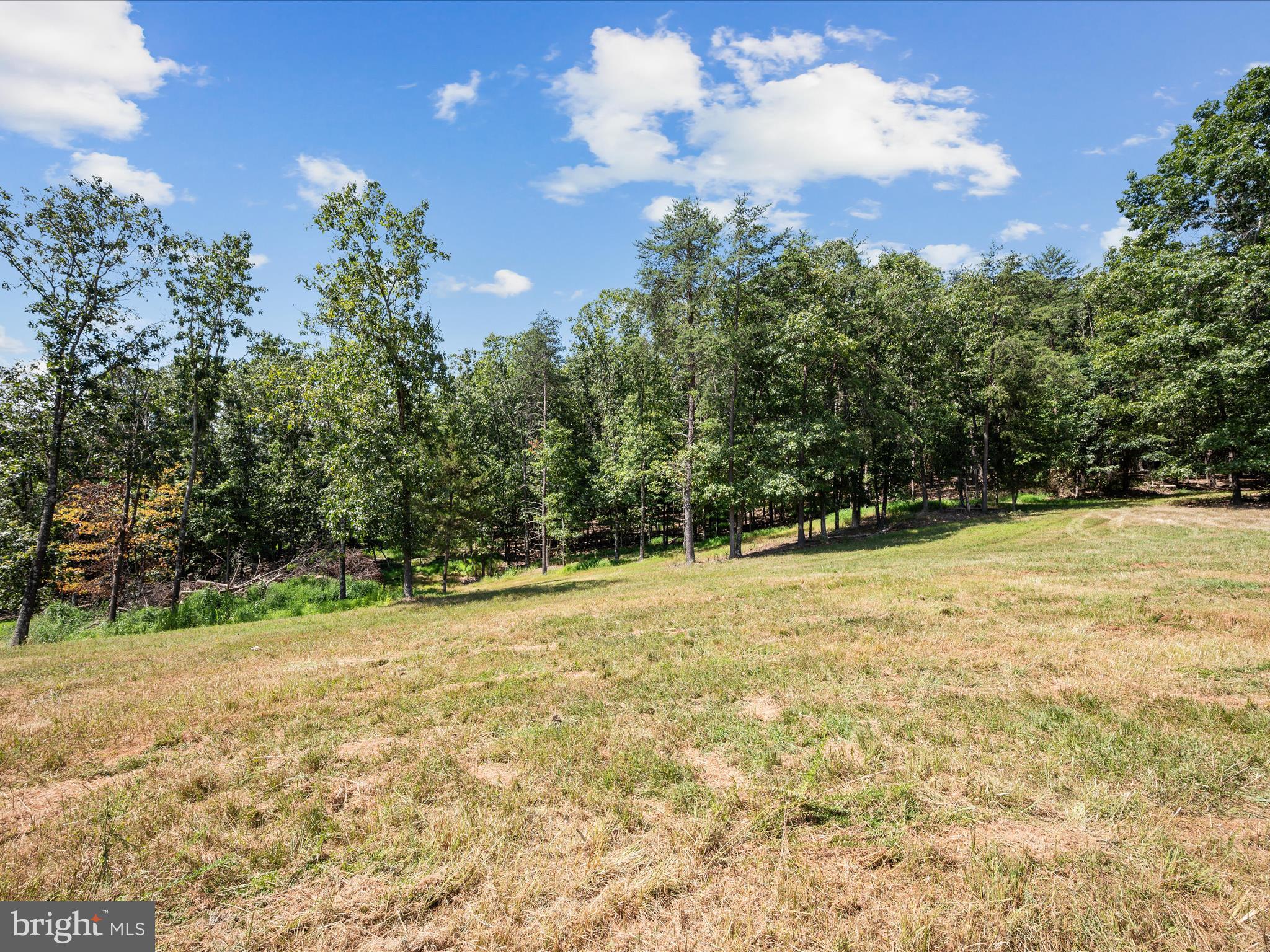 0 Light Road Winchester, VA 22603 - Photo 6 of 47 Lot Landscape