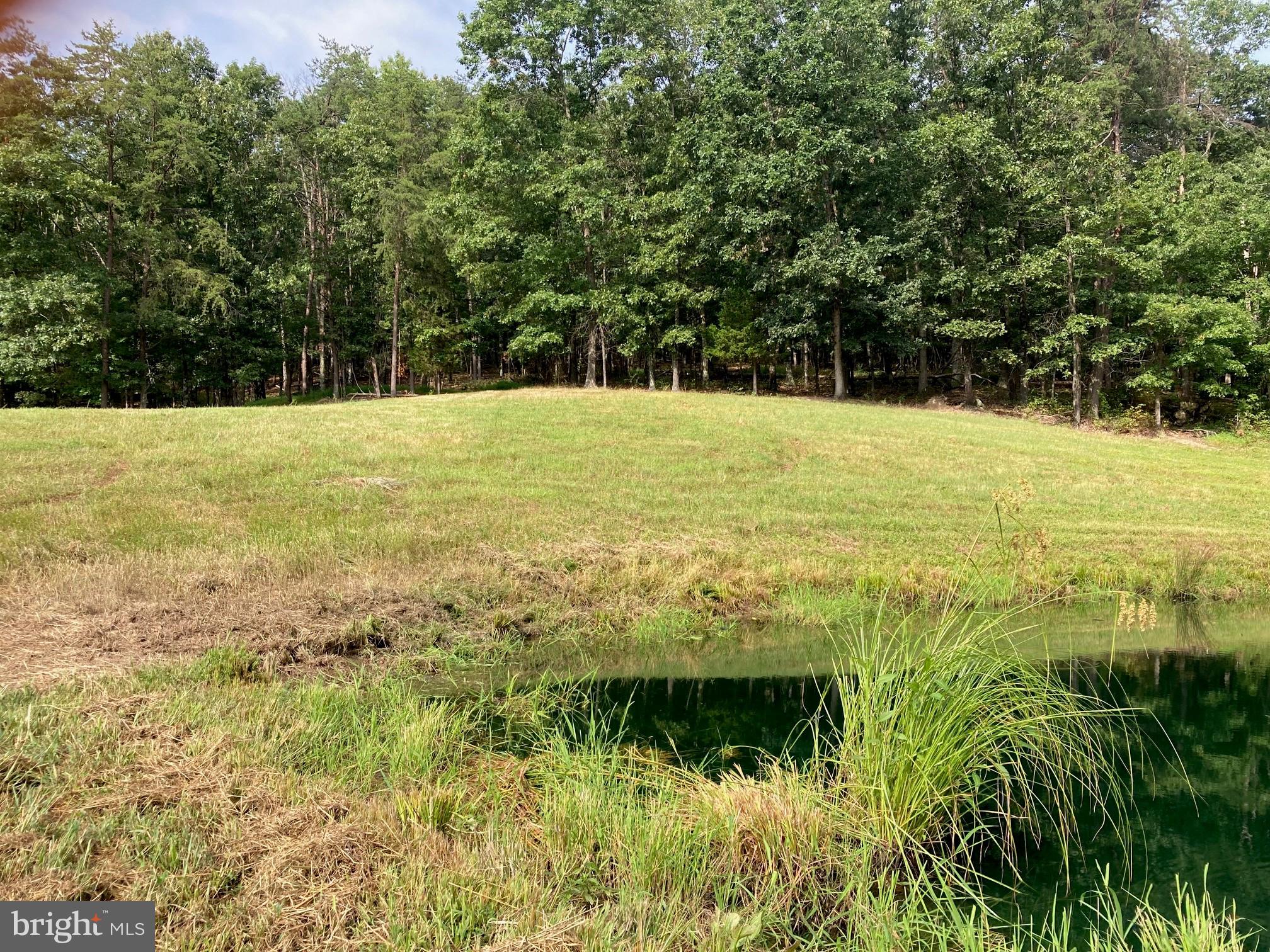 0 Light Road Winchester, VA 22603 - Photo 8 of 47