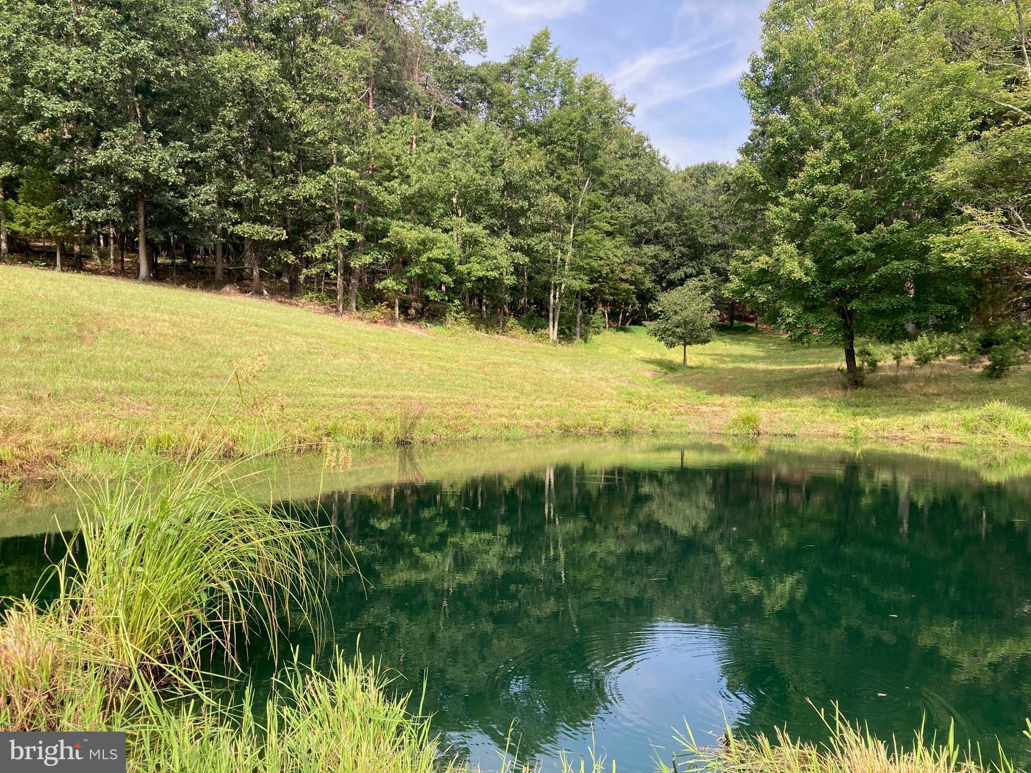 0 Light Road Winchester, VA 22603 - Photo 9 of 47