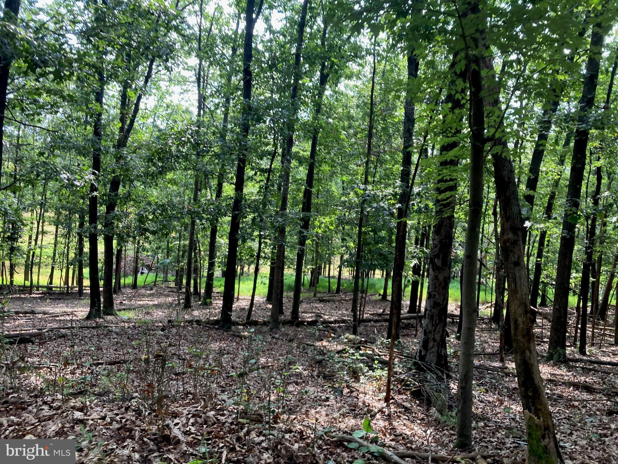 0 Light Road Winchester, VA 22603 - Photo 10 of 47