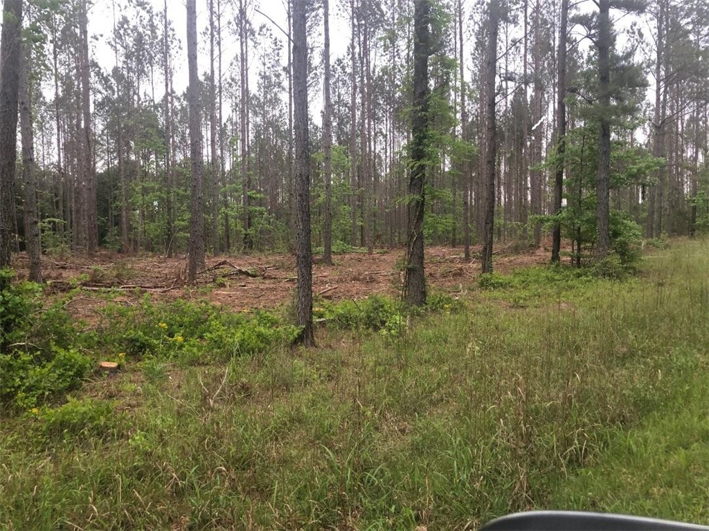 0 Mike McConnell Avenue Iva, SC 29655 - Photo 1 of 3