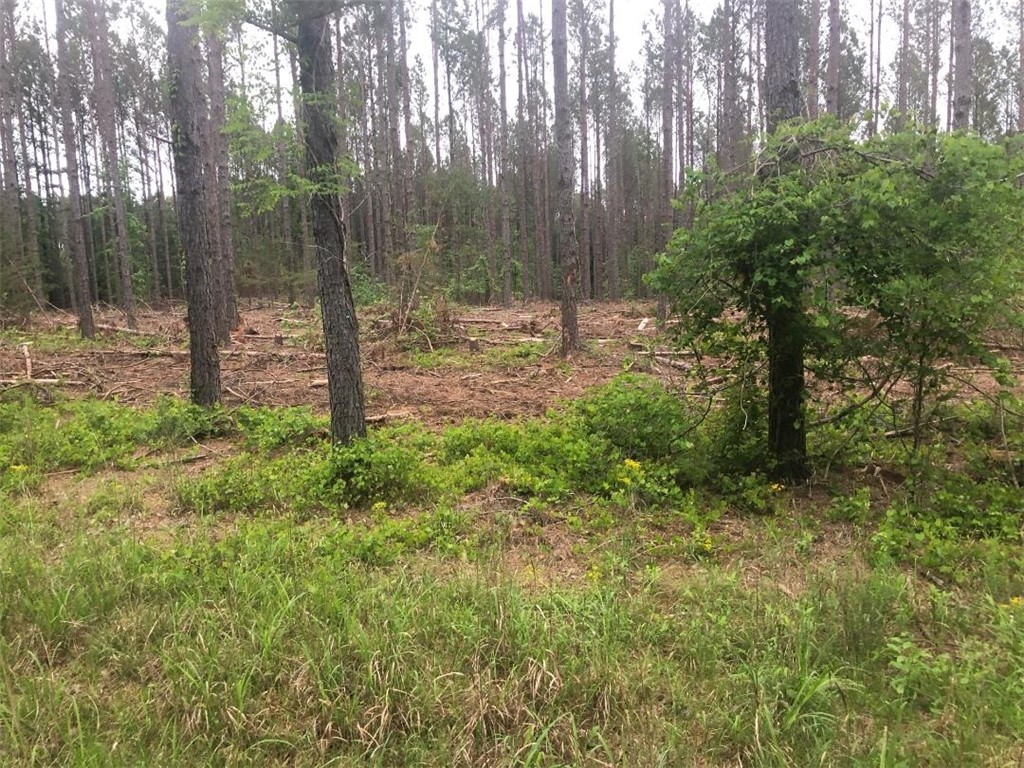 0 Mike McConnell Avenue Iva, SC 29655 - Photo 2 of 3