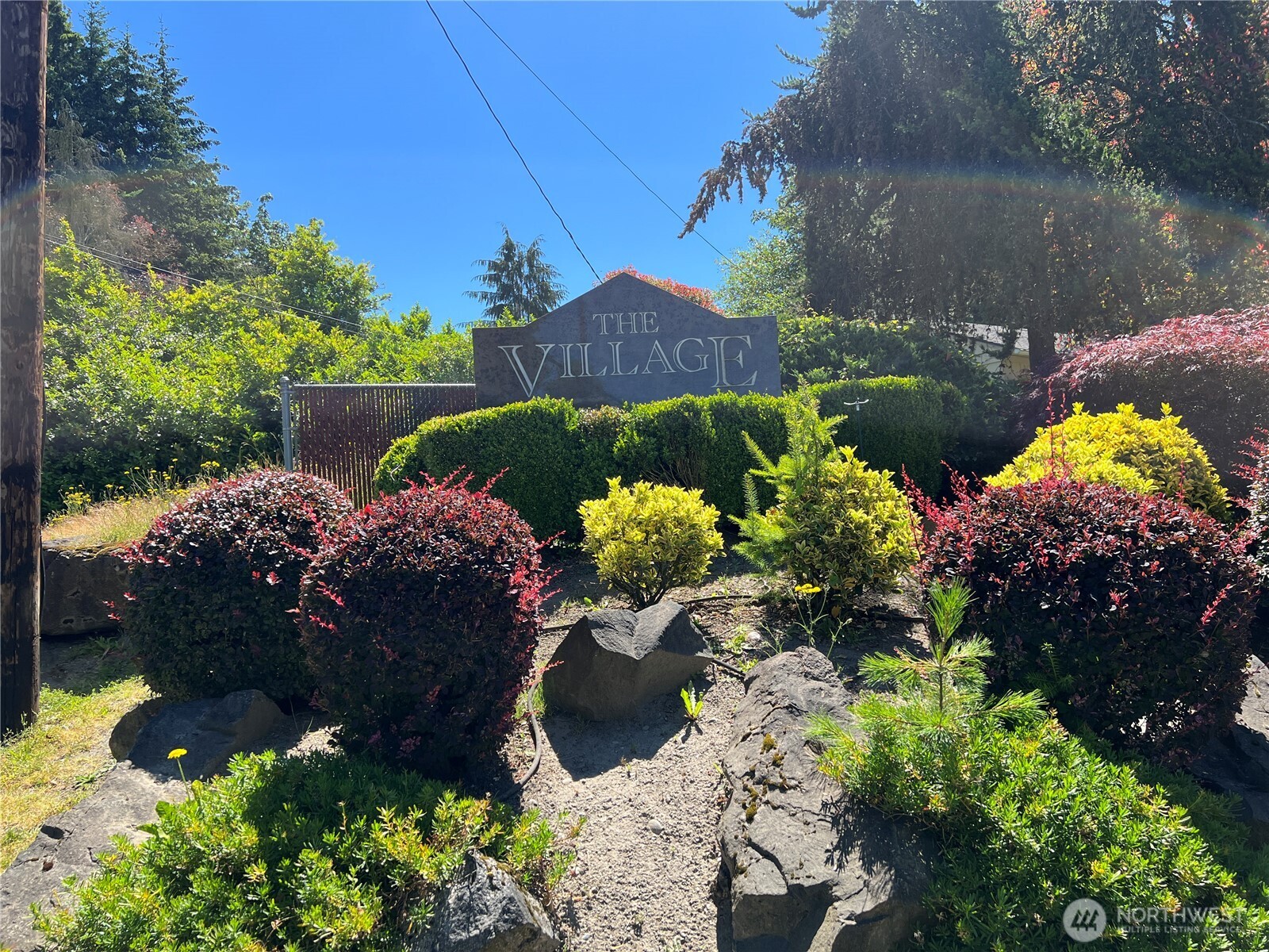 5030 212th Street Southwest Mountlake Terrace, WA 98043 - Photo 6 of 14 a view of a bunch of flowers and covered with trees