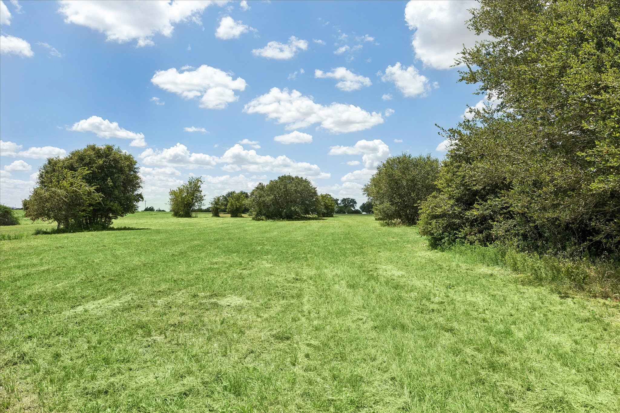 1372 North Nassau Road Round Top, TX 78954 - Photo 9 of 13 Gallery Image 9