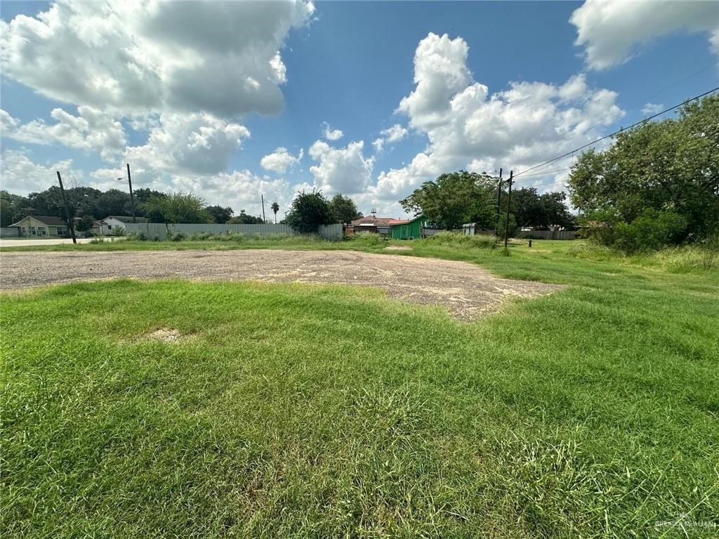 711 East Rice Street Falfurrias, TX 78355 - Photo 4 of 11 a view of a big yard with large trees