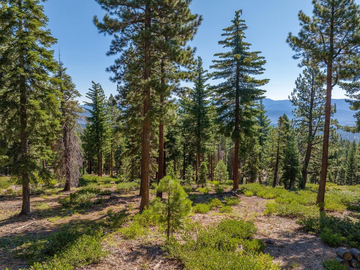11494 Alder Hill Road Truckee, CA 96161 - Photo 17 of 28