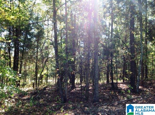 0 Whispering Pines Road, Unit 1 AMD 2 Oxford, AL 36203 - Photo 29 of 30