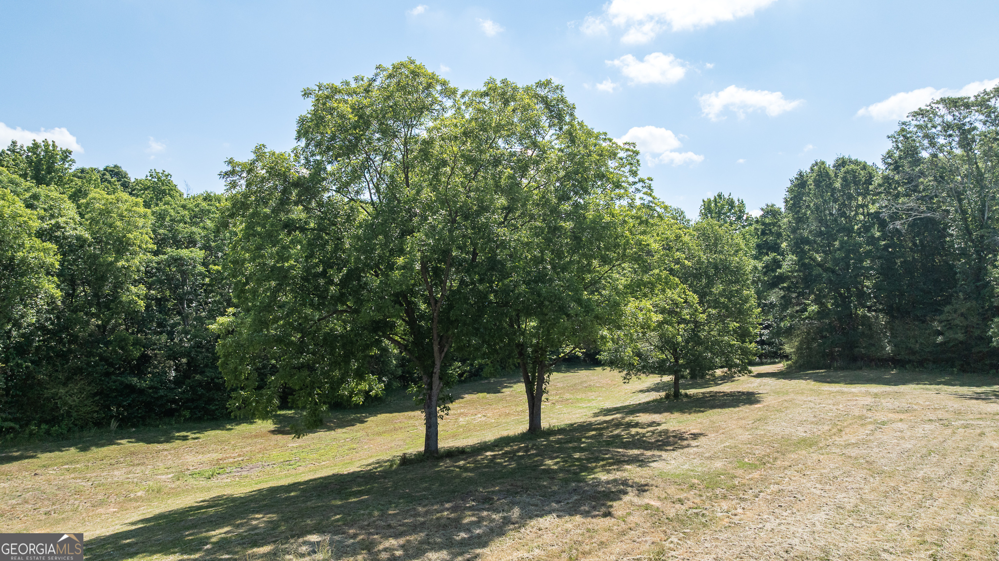 340 Adolphus-Callaway Road Washington, GA 30673 - Photo 73 of 90 Gallery Image 73