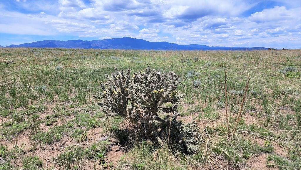 110 County Road 110 Rye, CO 81069 - Photo 34 of 37
