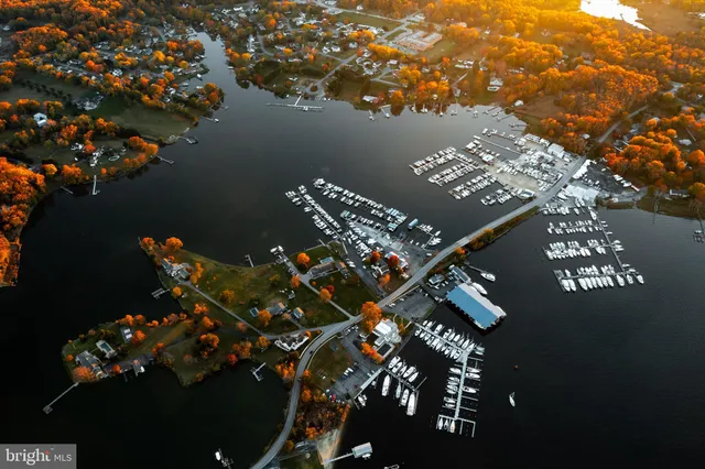 a picture of flowers outside of a house