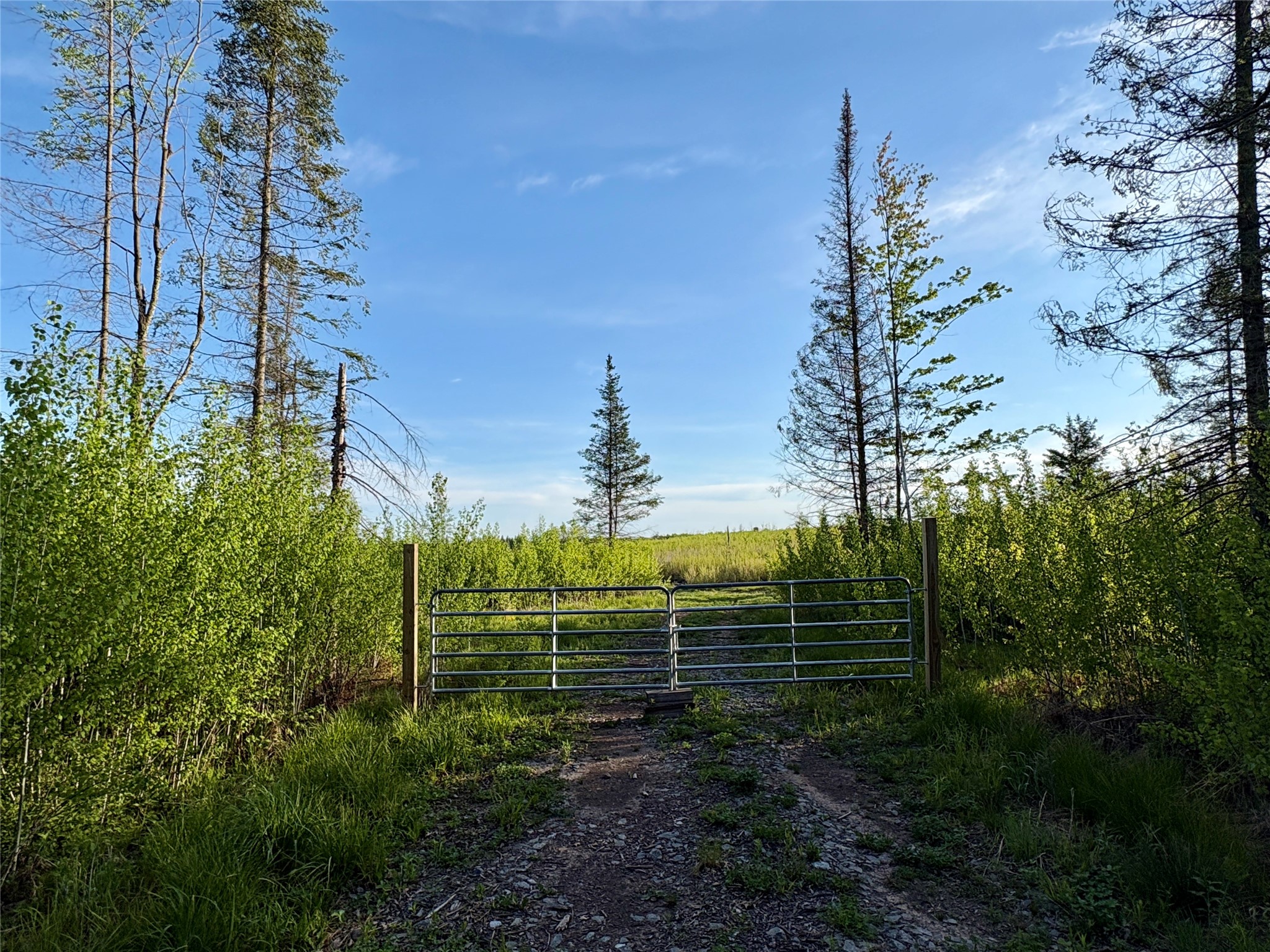 Lot 2 Girod Road Ladysmith, WI 54848 - Photo 2 of 26