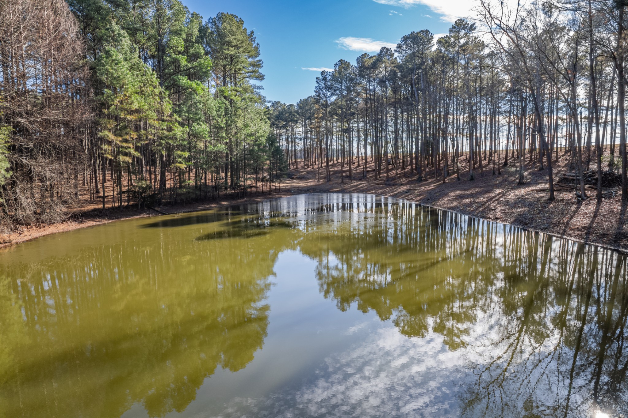 0 Beard Road Primm Springs, TN 38476 - Photo 12 of 35 a view of a swimming pool with sitting area and large trees