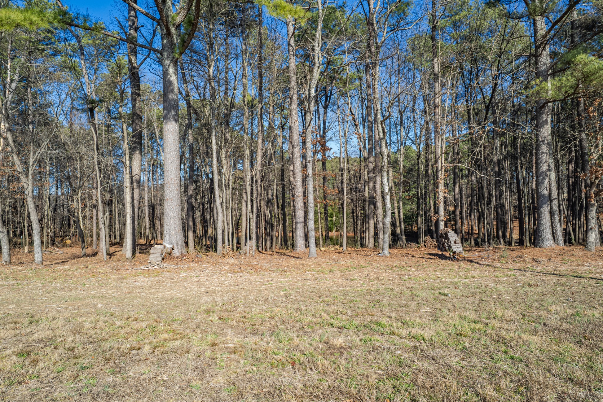 0 Beard Road Primm Springs, TN 38476 - Photo 13 of 35 a view of outdoor space with trees