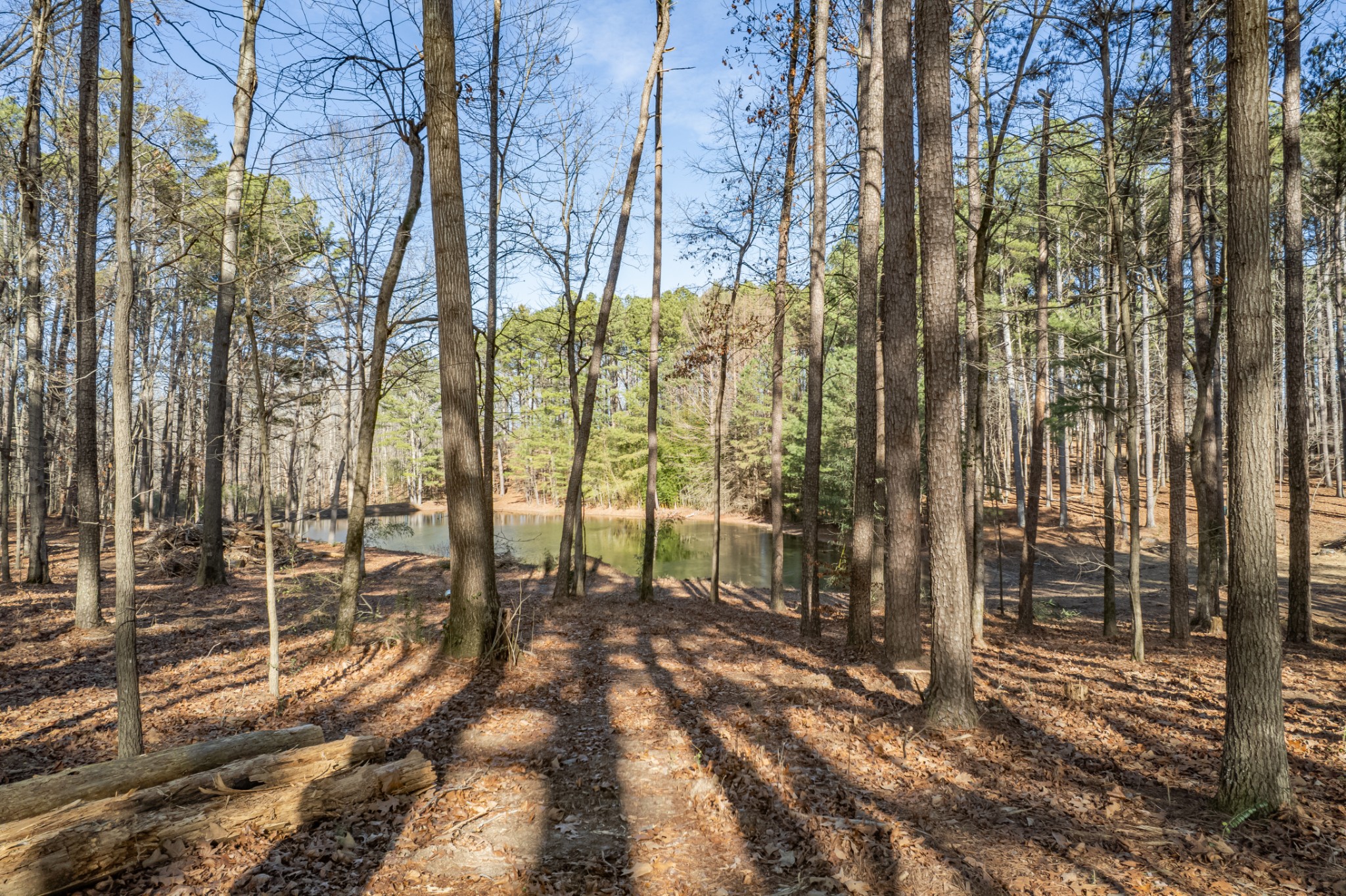0 Beard Road Primm Springs, TN 38476 - Photo 18 of 35 a view of under construction area