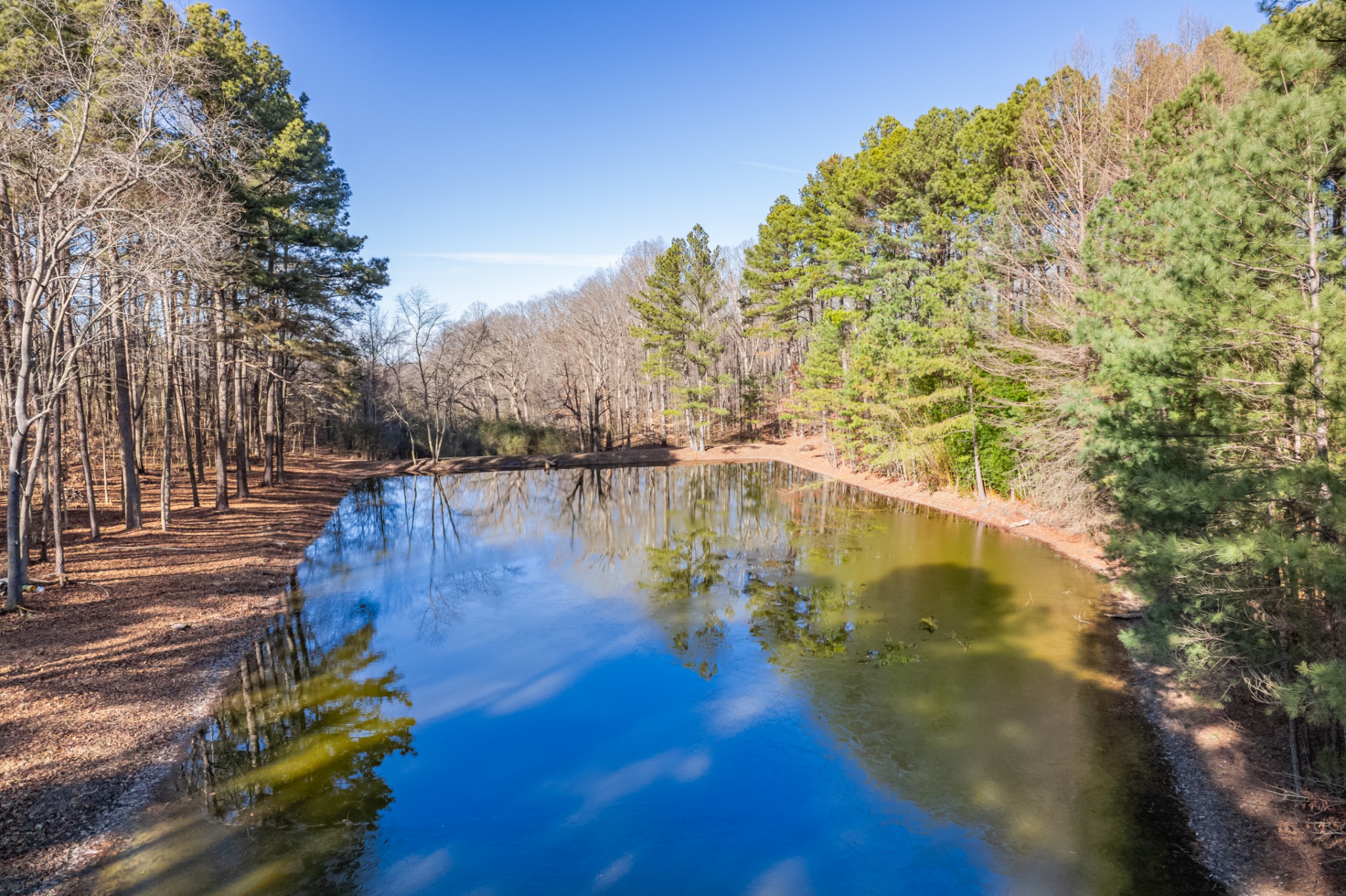 0 Beard Road Primm Springs, TN 38476 - Photo 2 of 35 a view of a lake with large trees
