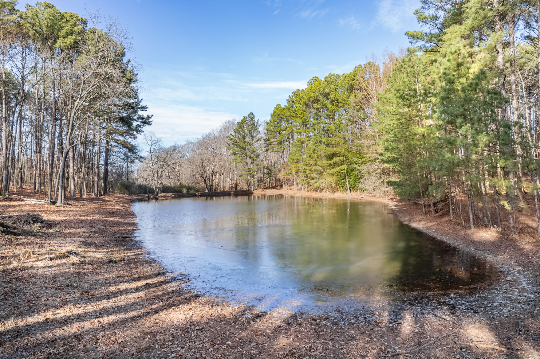 0 Beard Road Primm Springs, TN 38476 - Photo 22 of 35